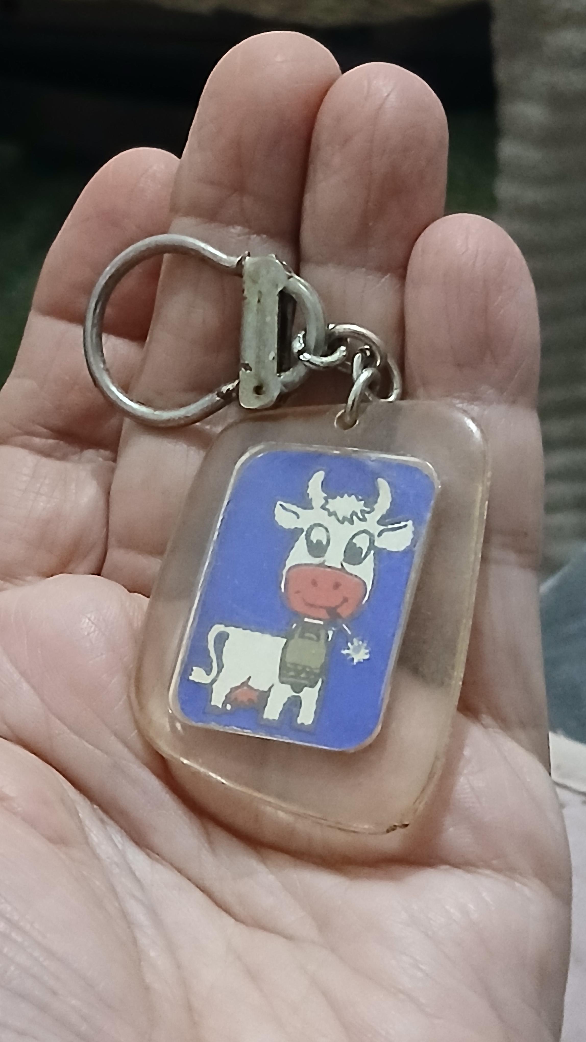 troc de troc porte clé image 0