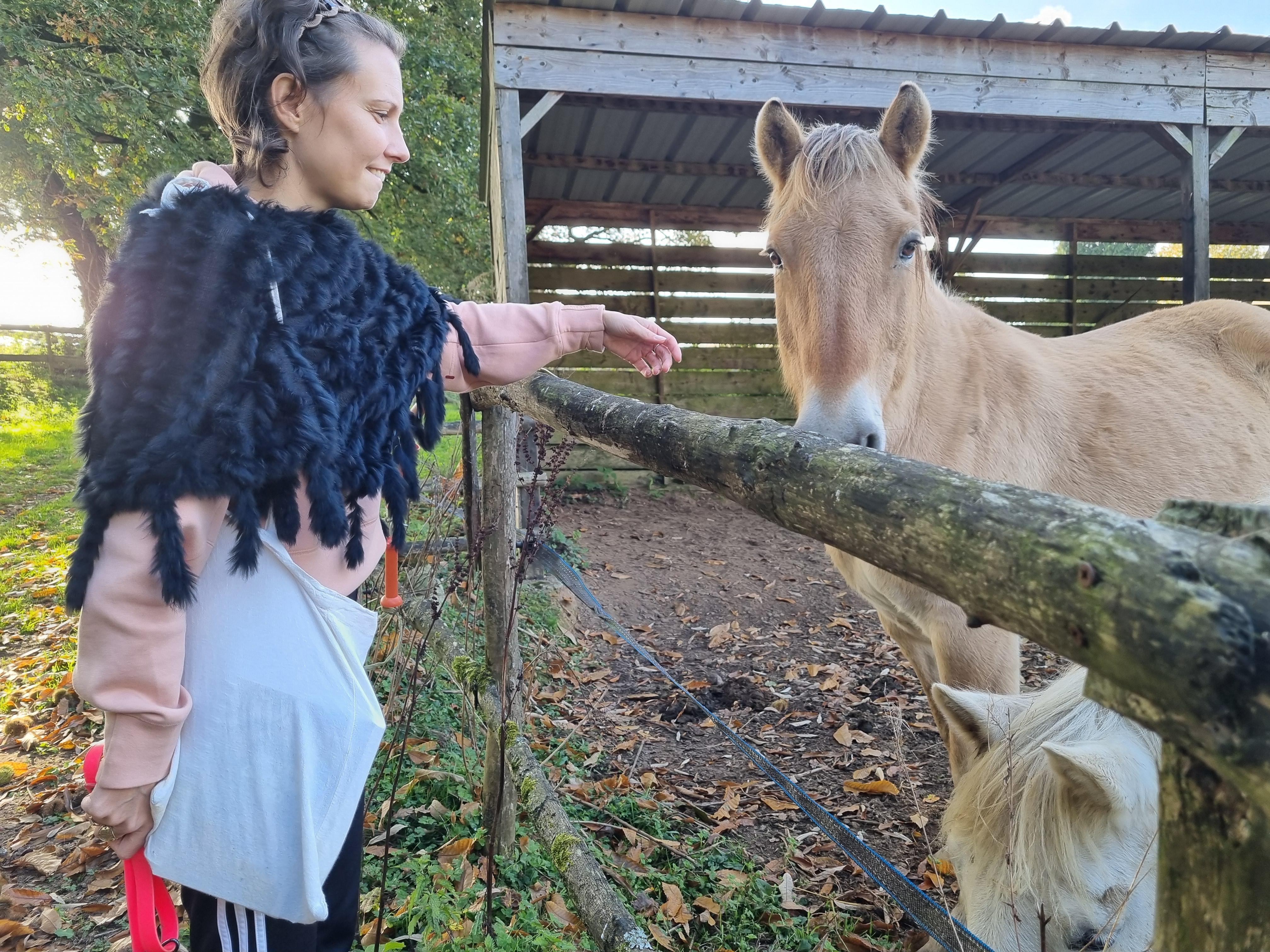 troc de troc ménage image 0