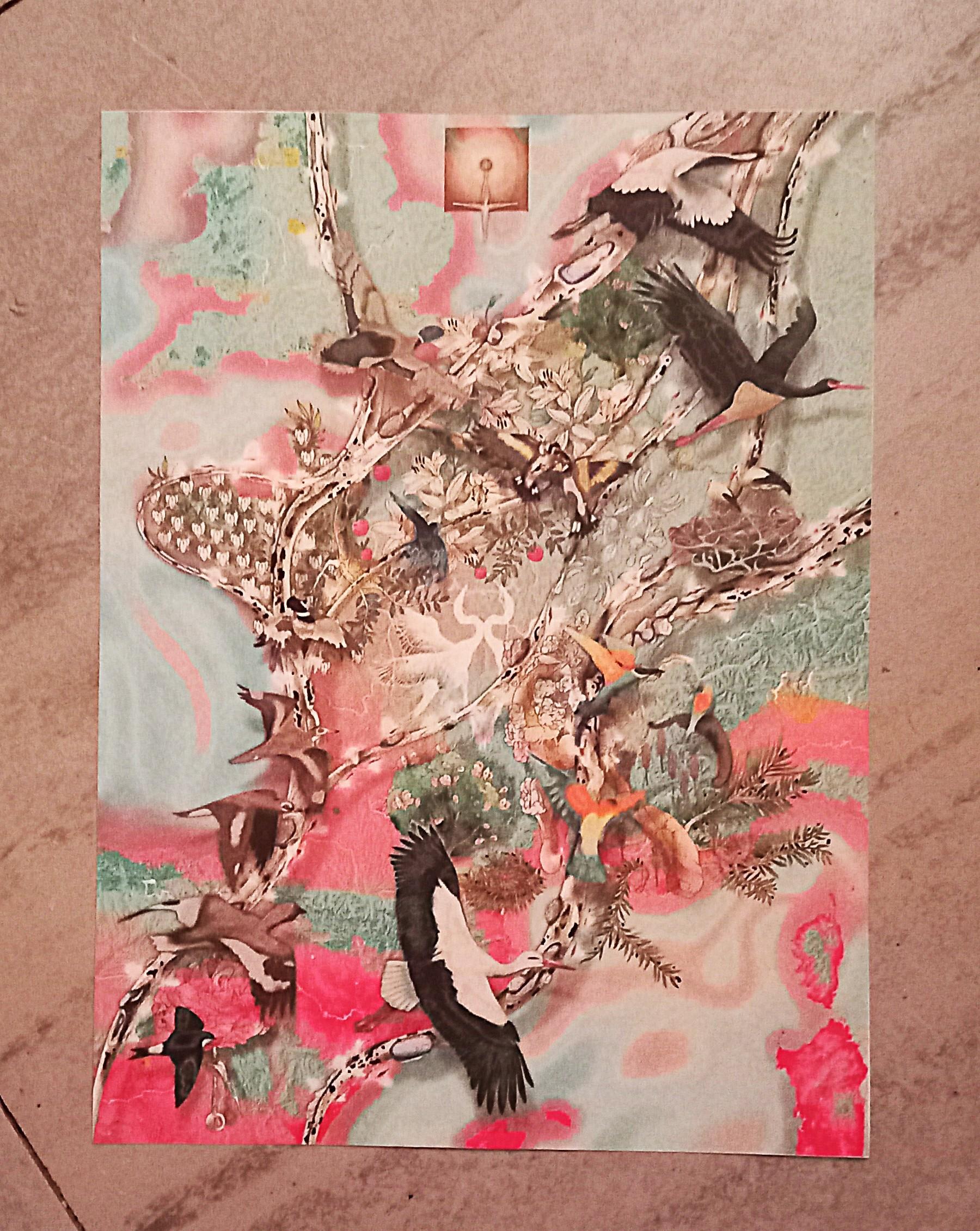 troc de troc image "les oiseaux migrateurs". image 0