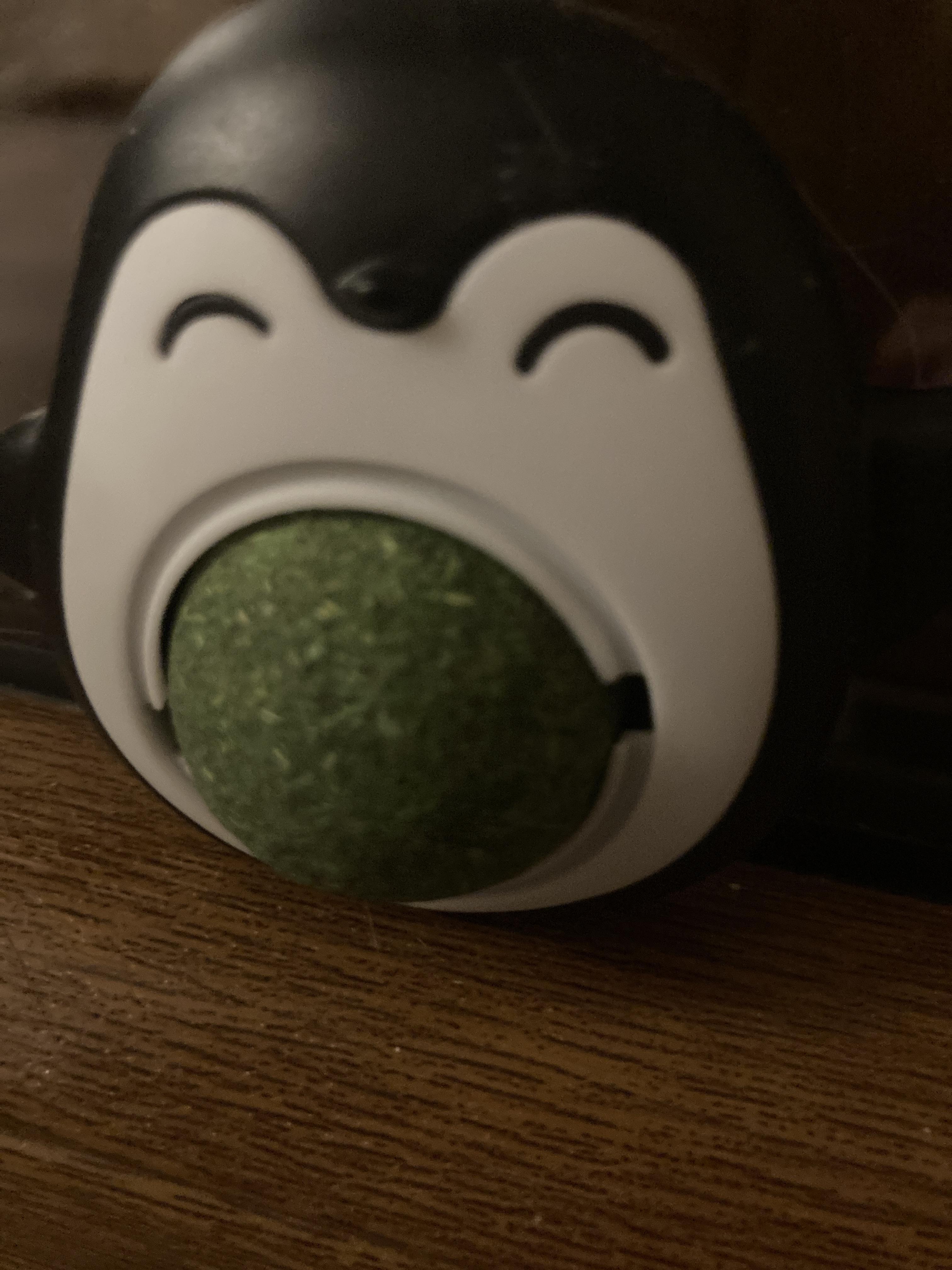 troc de troc boule herbe à chat neuve image 2