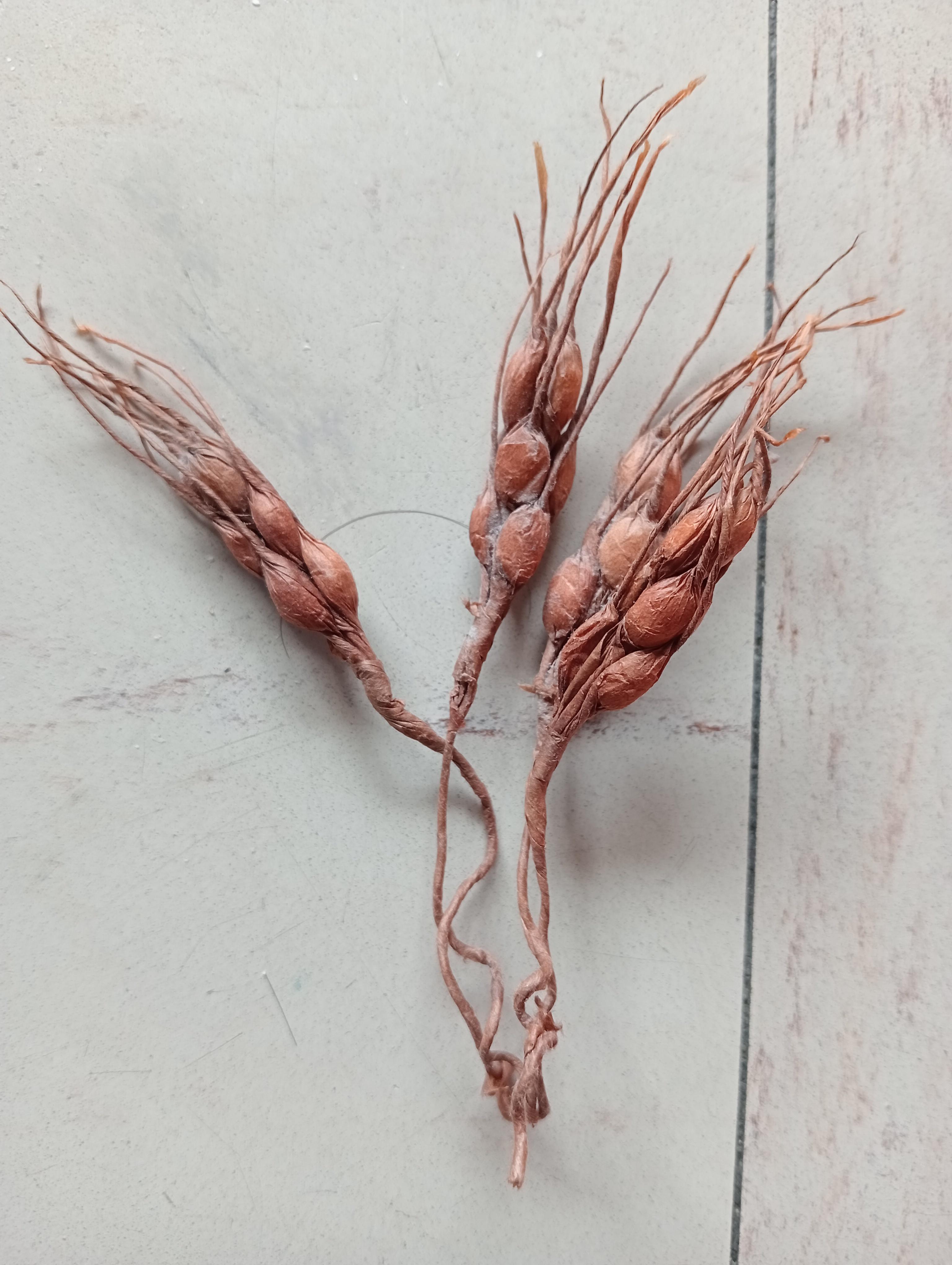 troc de troc pour loisirs créatifs image 0