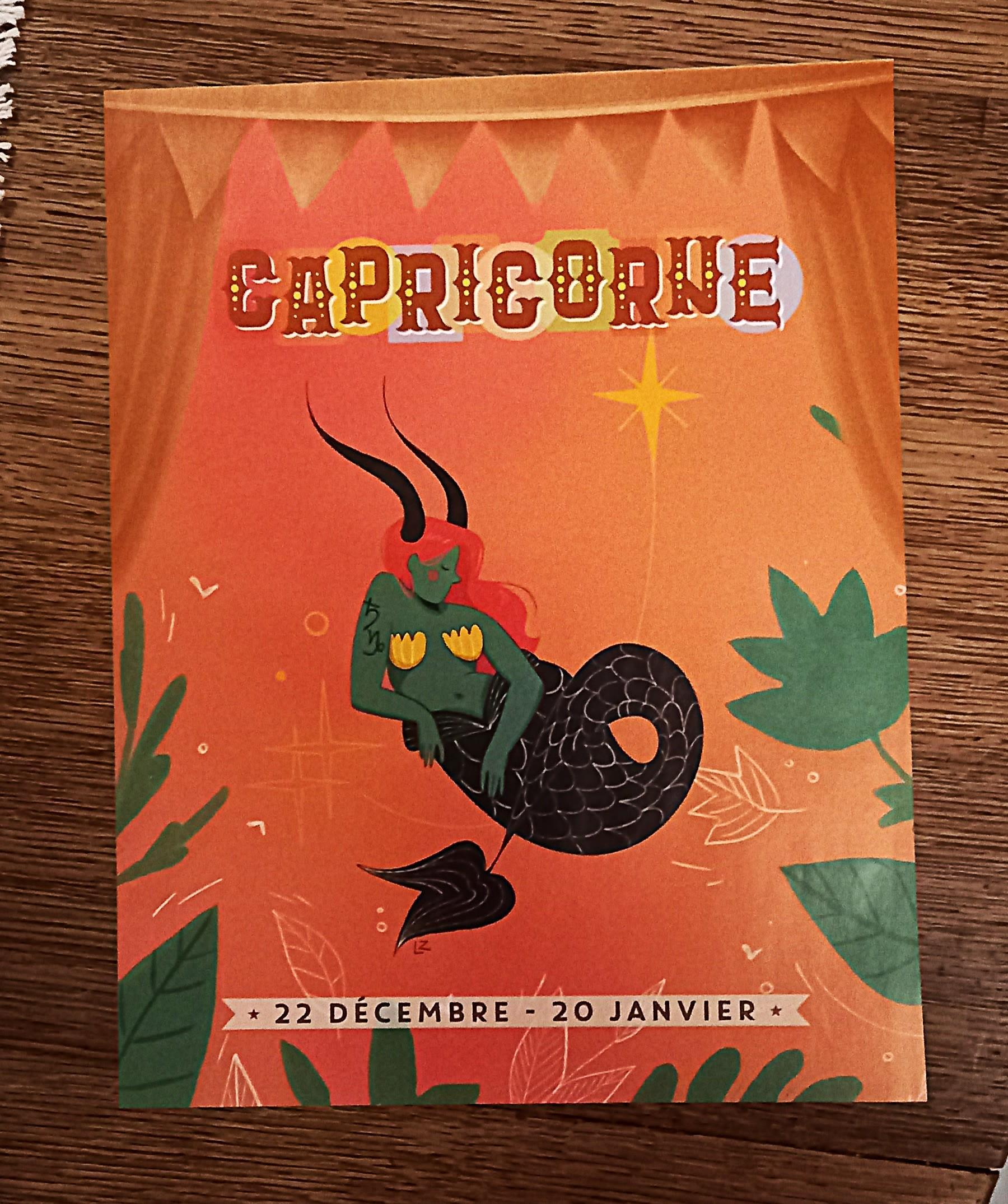 troc de troc affiche astro. "capricorne". image 0