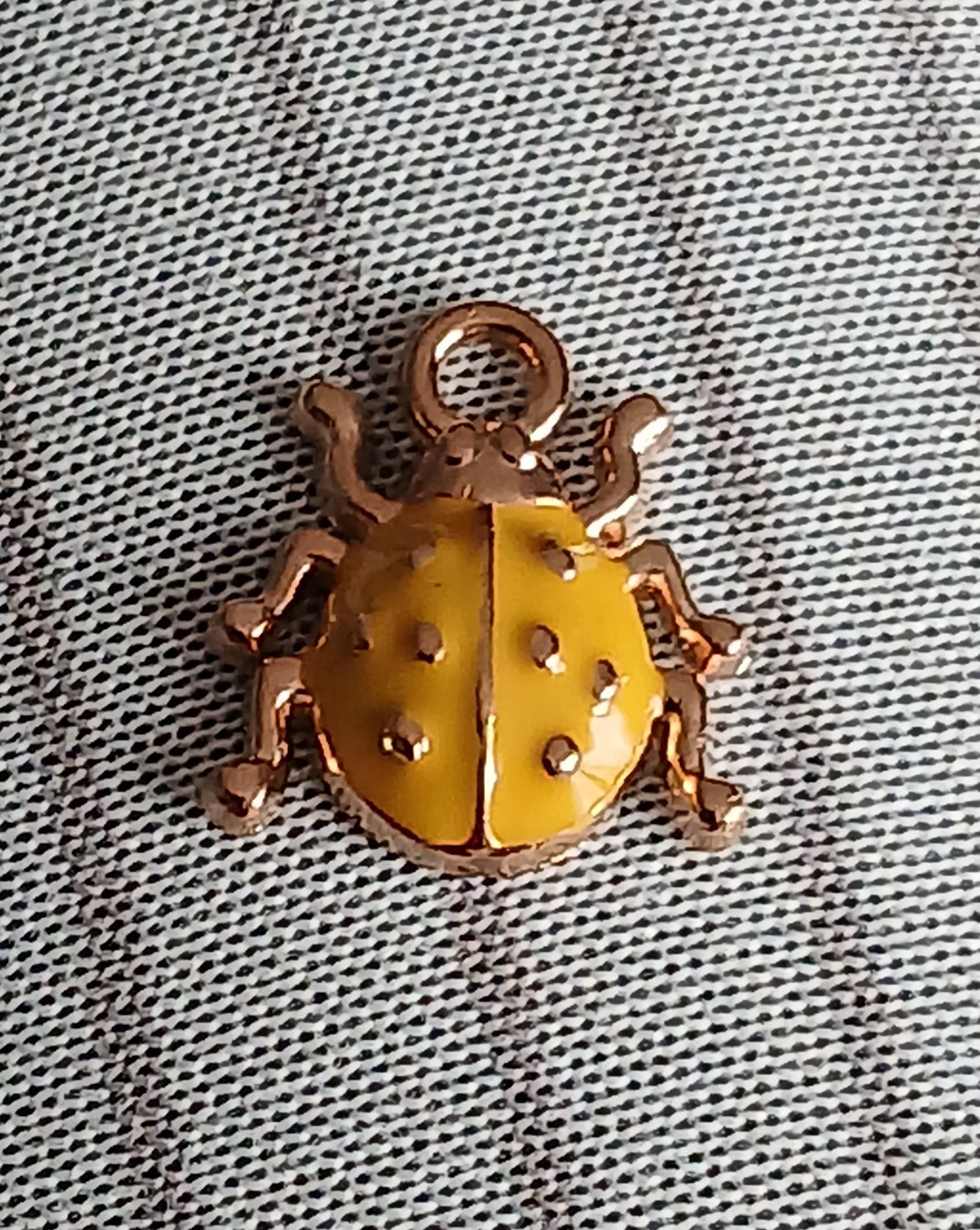 troc de troc reserver alexa un pendentif image 0