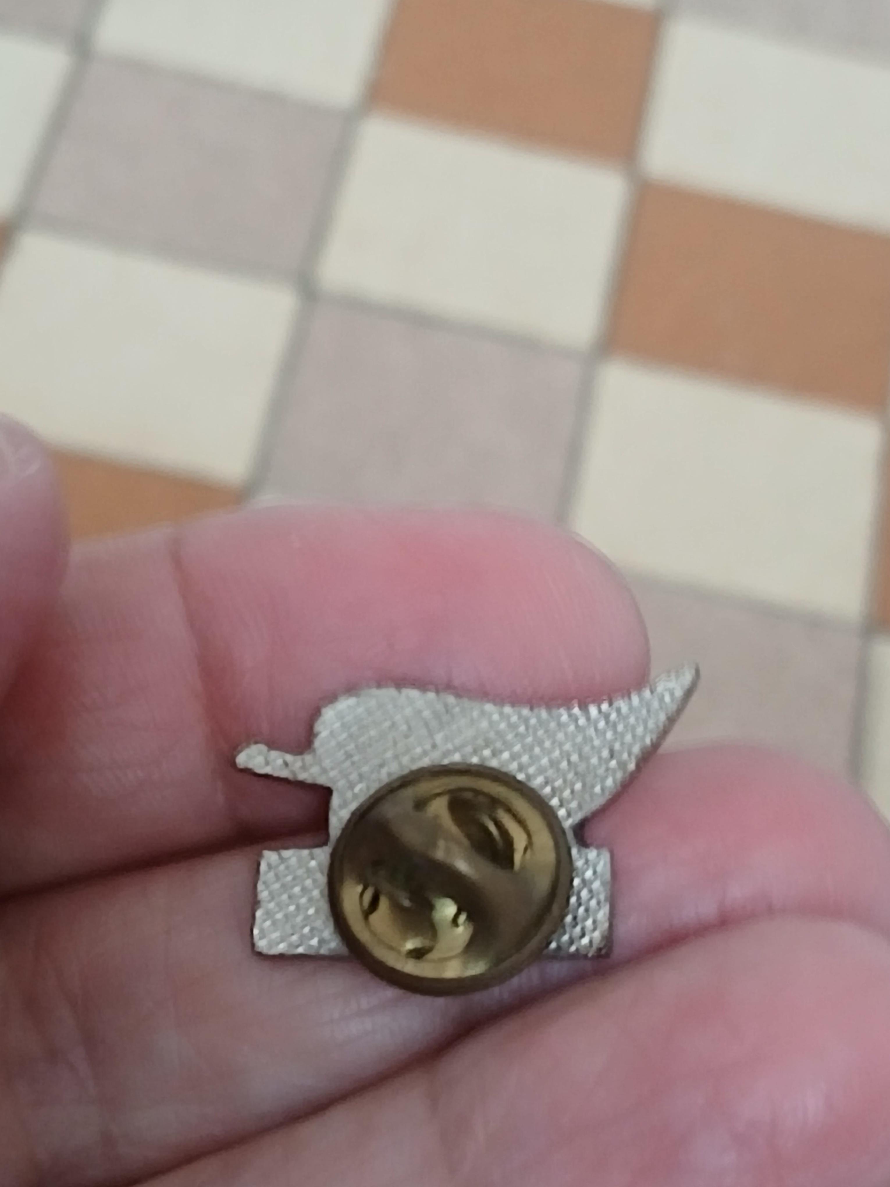 troc de troc un pins image 2