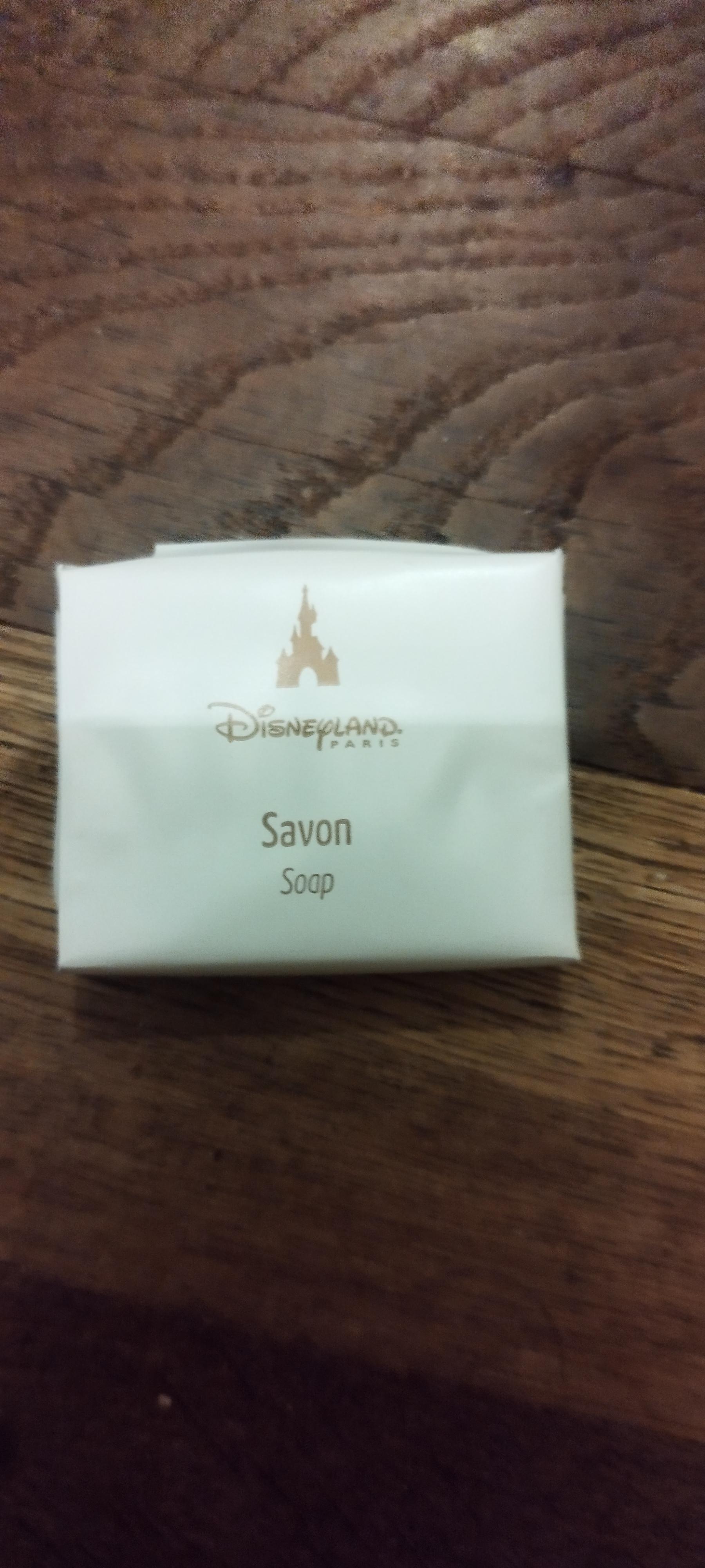 troc de troc petit savon du disneyland hôtel image 0