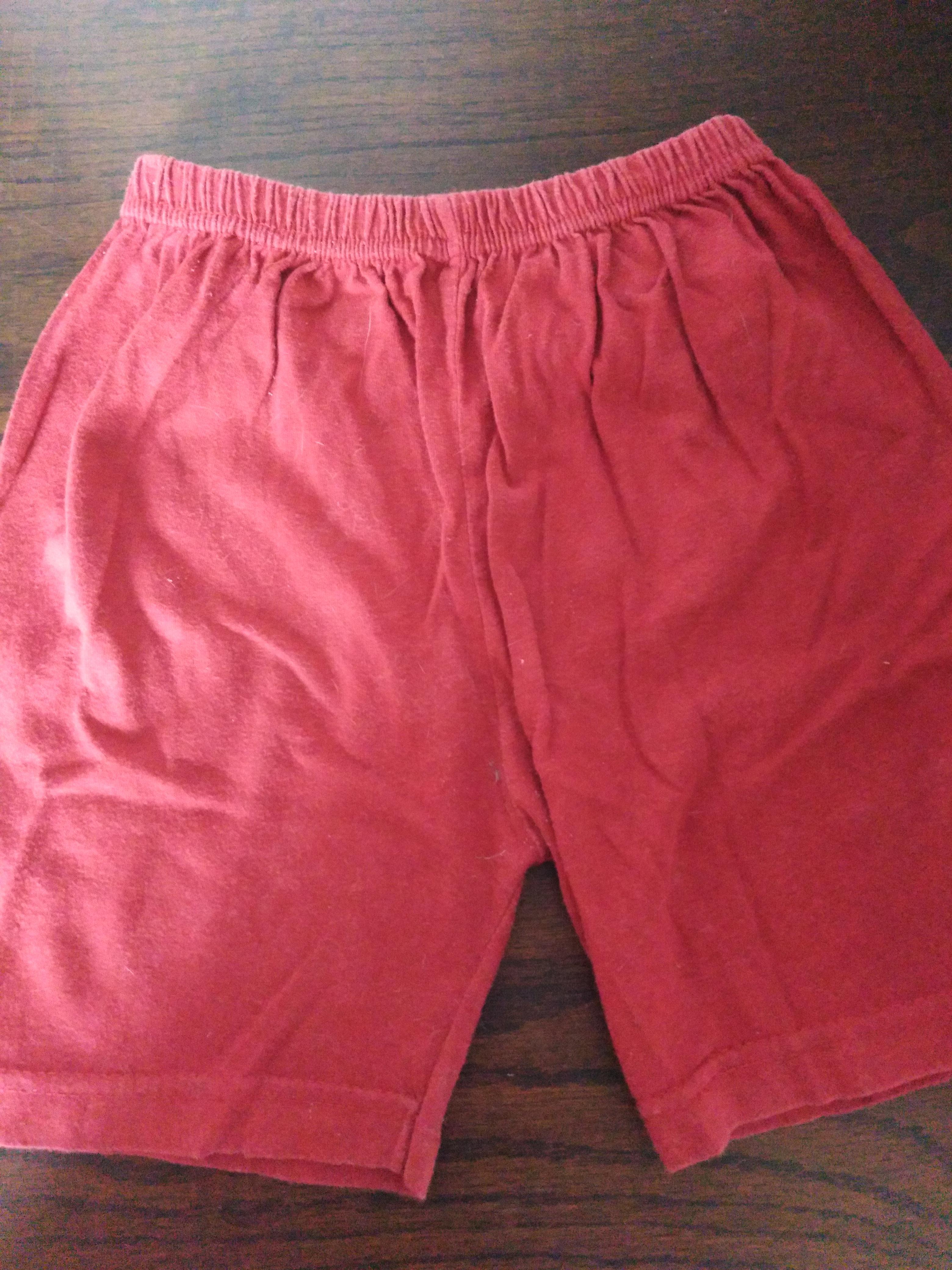 troc de troc short 2/3 ans image 0