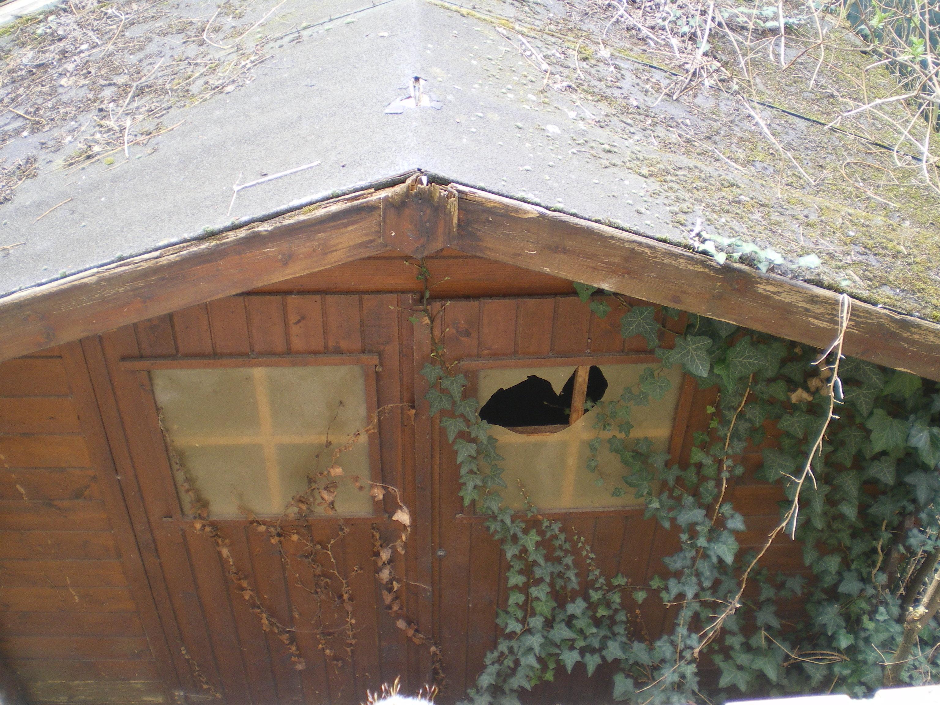 troc de troc un arbre (à recycler) + cabane de jardin image 2