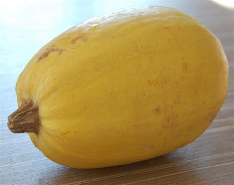 troc de troc 10 graines de courge spaghetti image 0