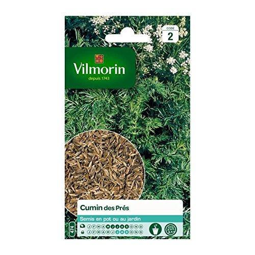 troc de troc recherche graines de cumin pour le jardin image 0