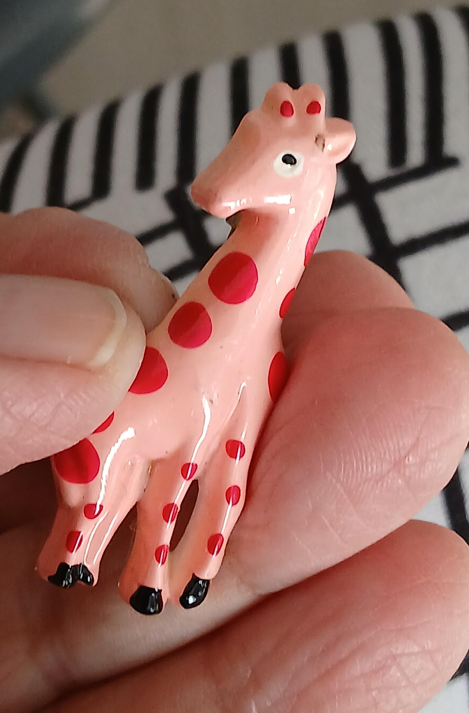 troc de troc une broche mixte image 0