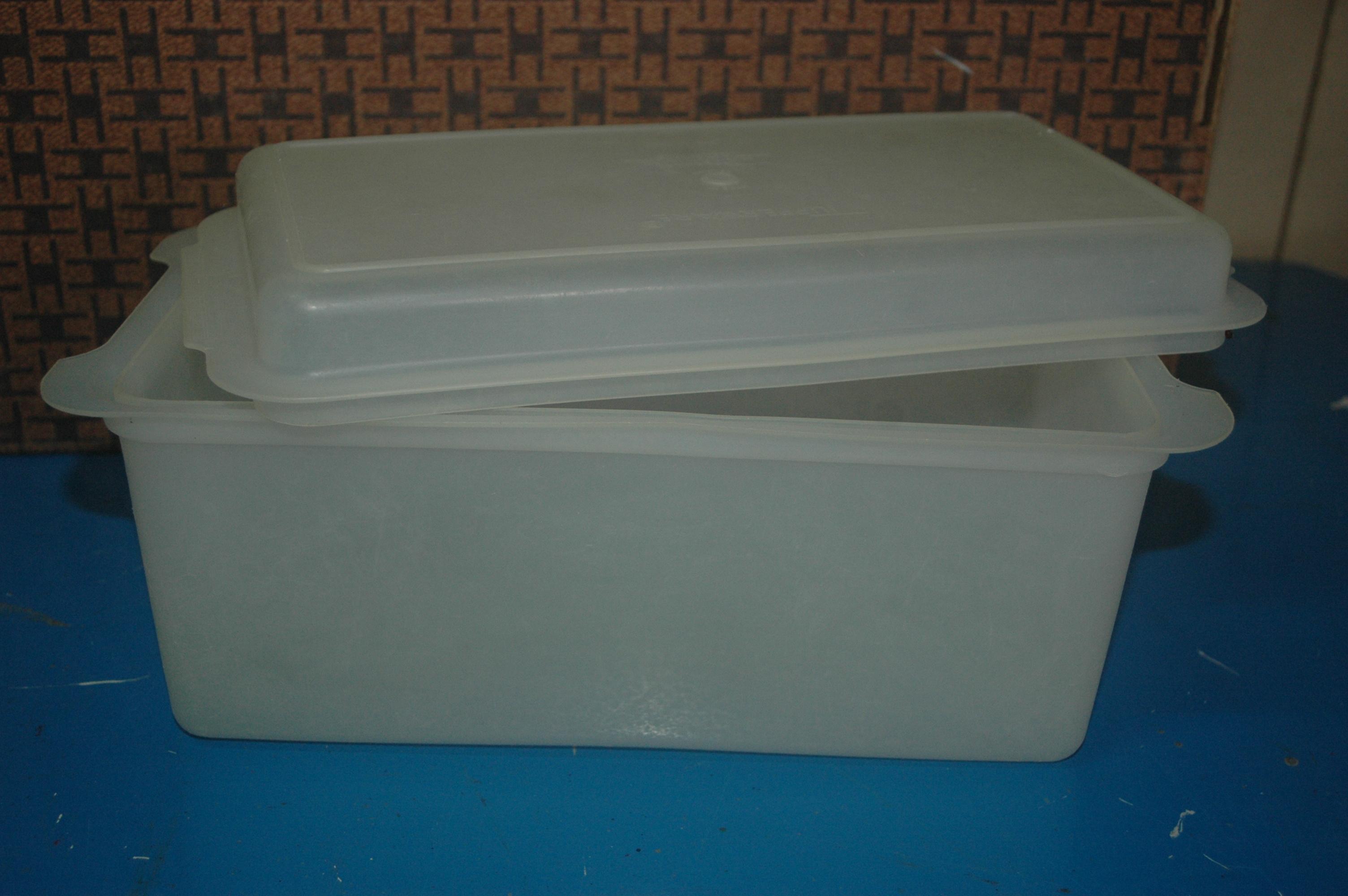 troc de troc tupperware rectangulaire image 0