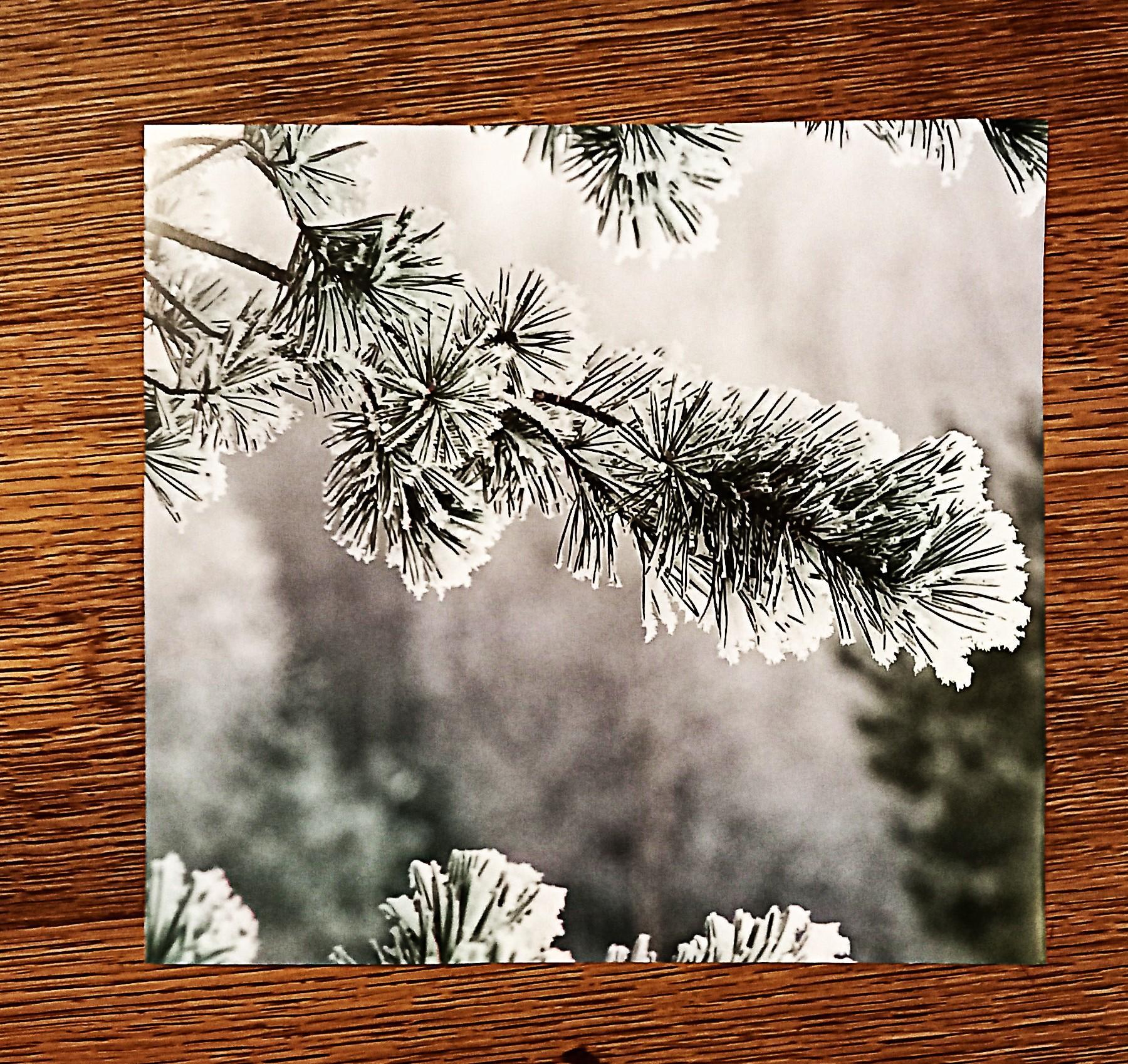 troc de troc grande image recto/verso. image 1