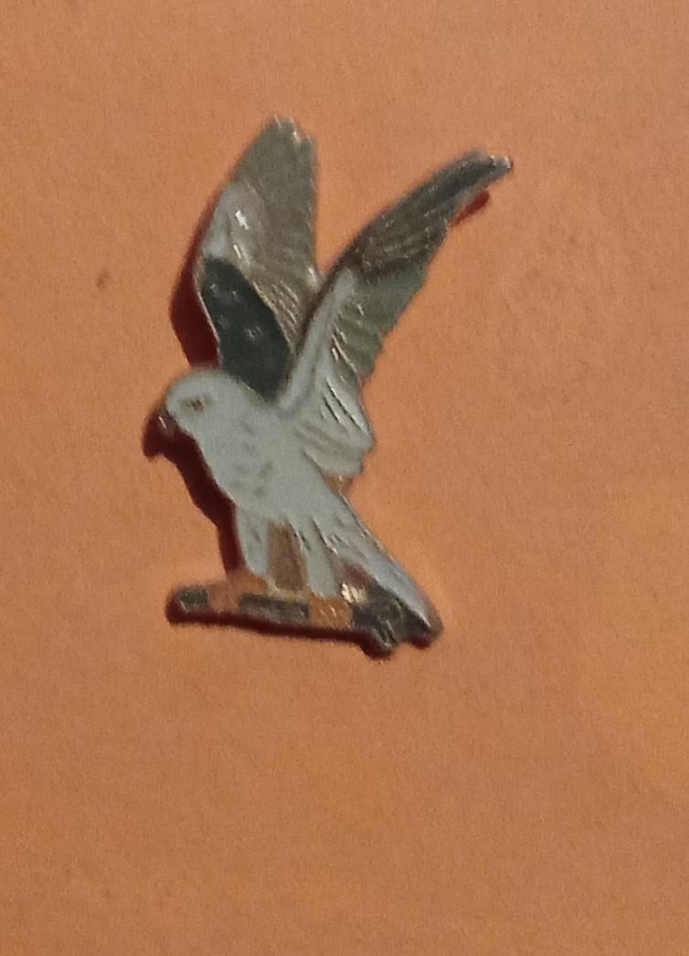 troc de troc pin's image 0