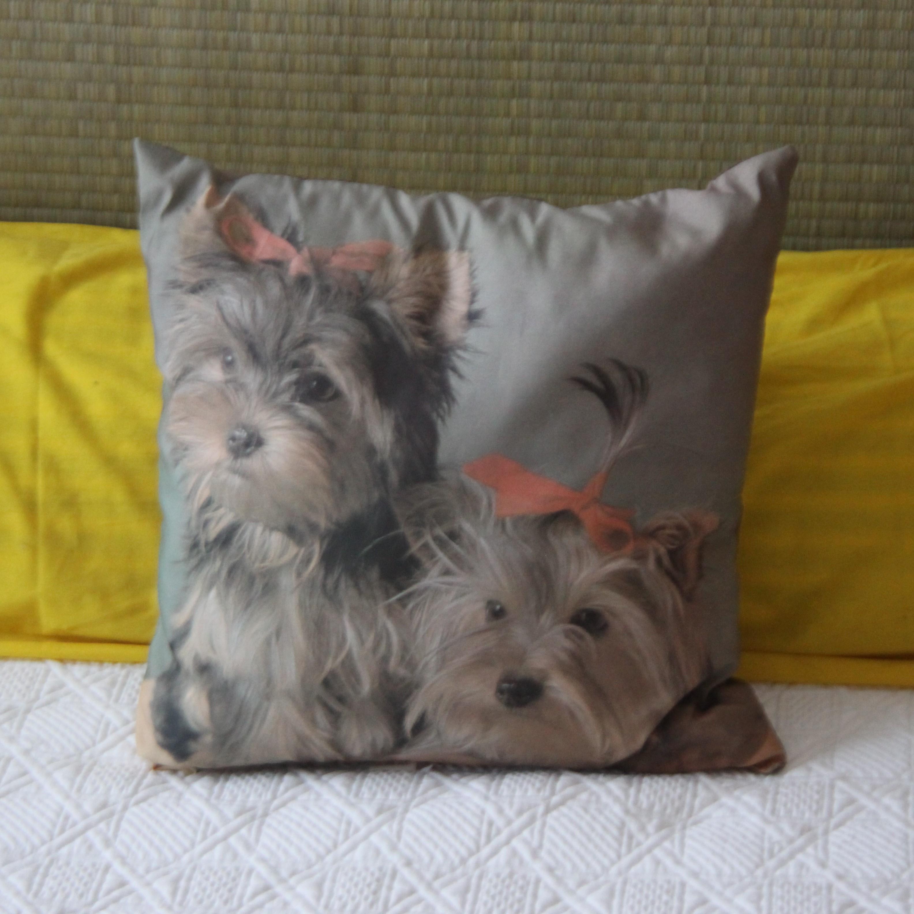 troc de troc coussin yorshire terrier image 0