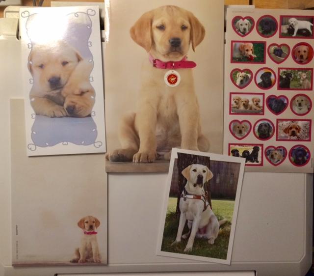 troc de troc réservé lot pour les amoureux des chiens labrador :-) image 0