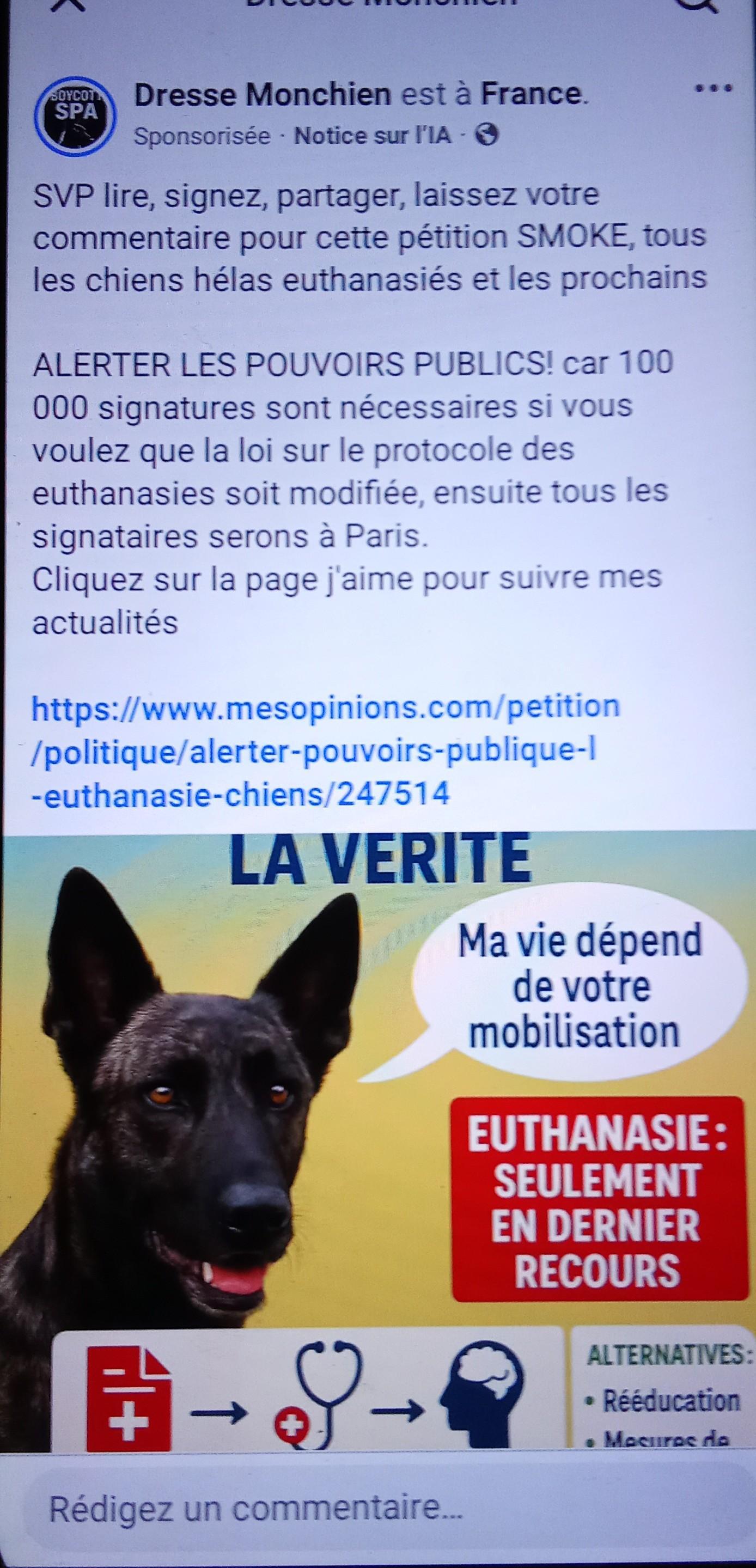 troc de troc pétition contre l 'euthanasie abusives des chiens image 0