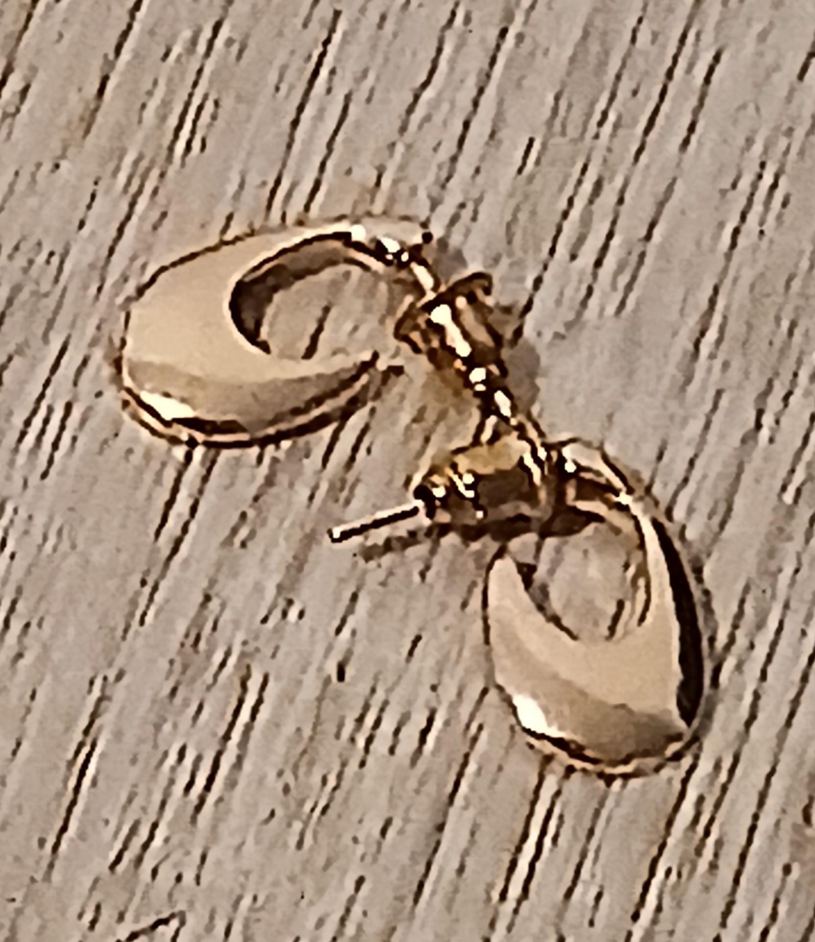troc de troc reserver troqueuse une paire de boucle d oreille image 0