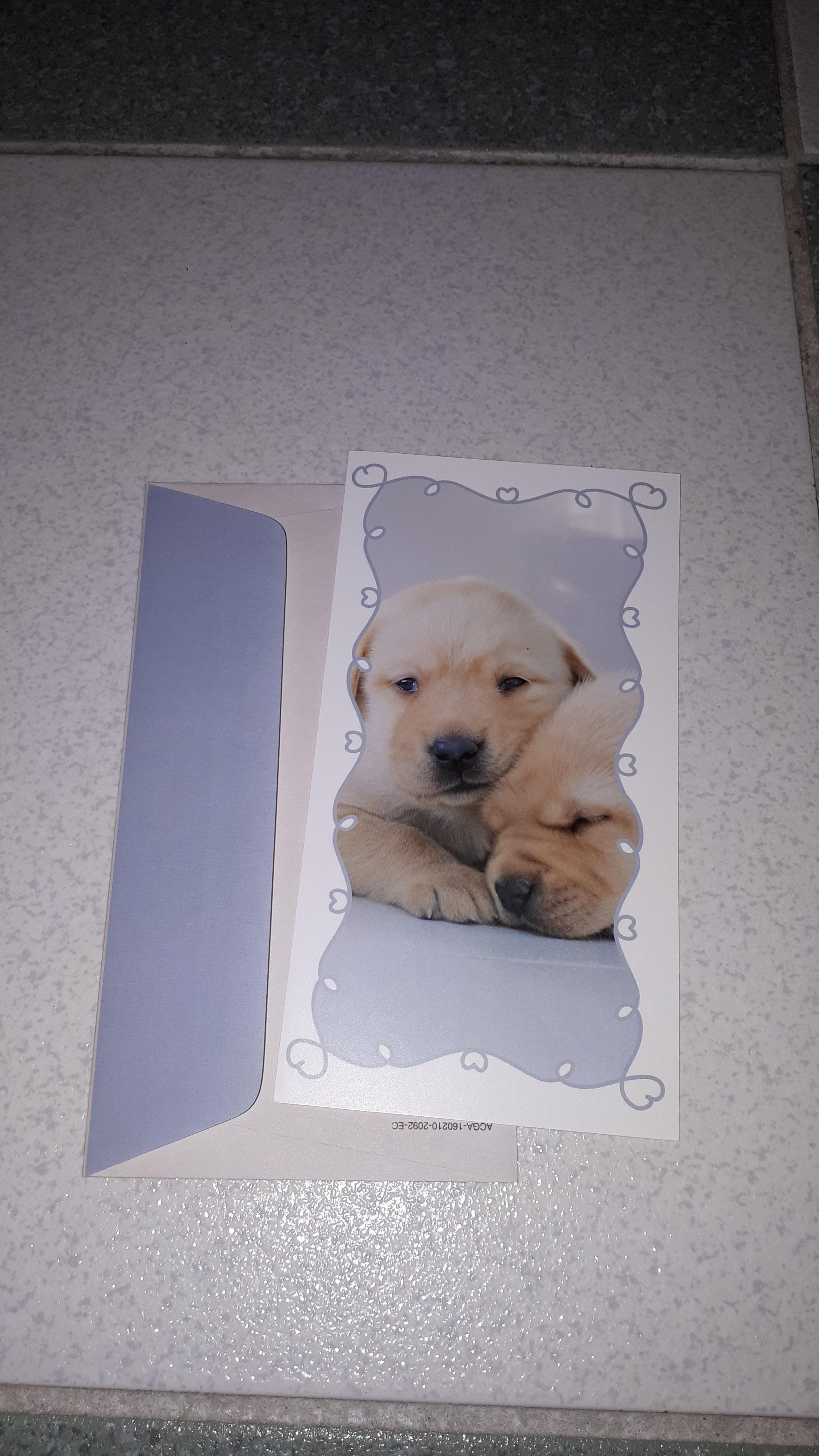 troc de troc carte postale chien image 0