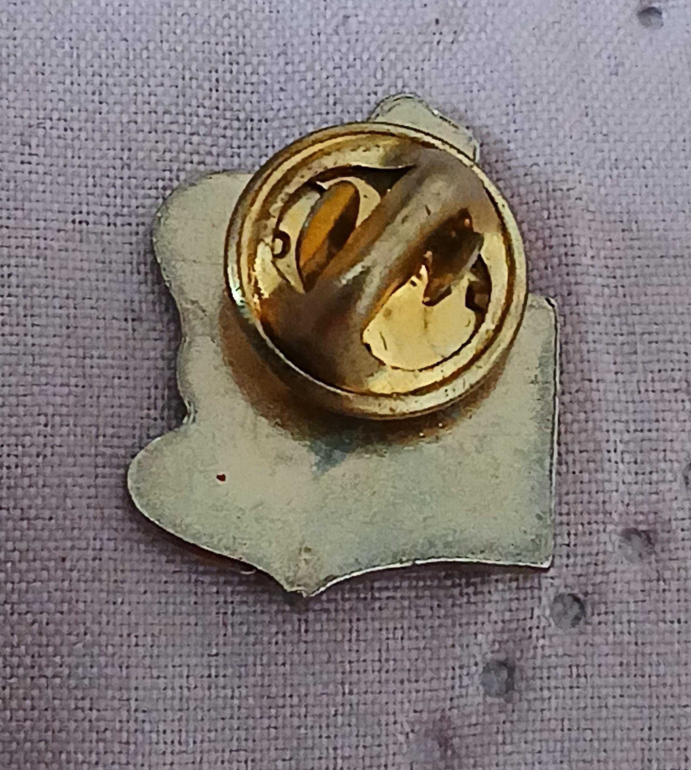 troc de troc un pins ' maggi ' image 2