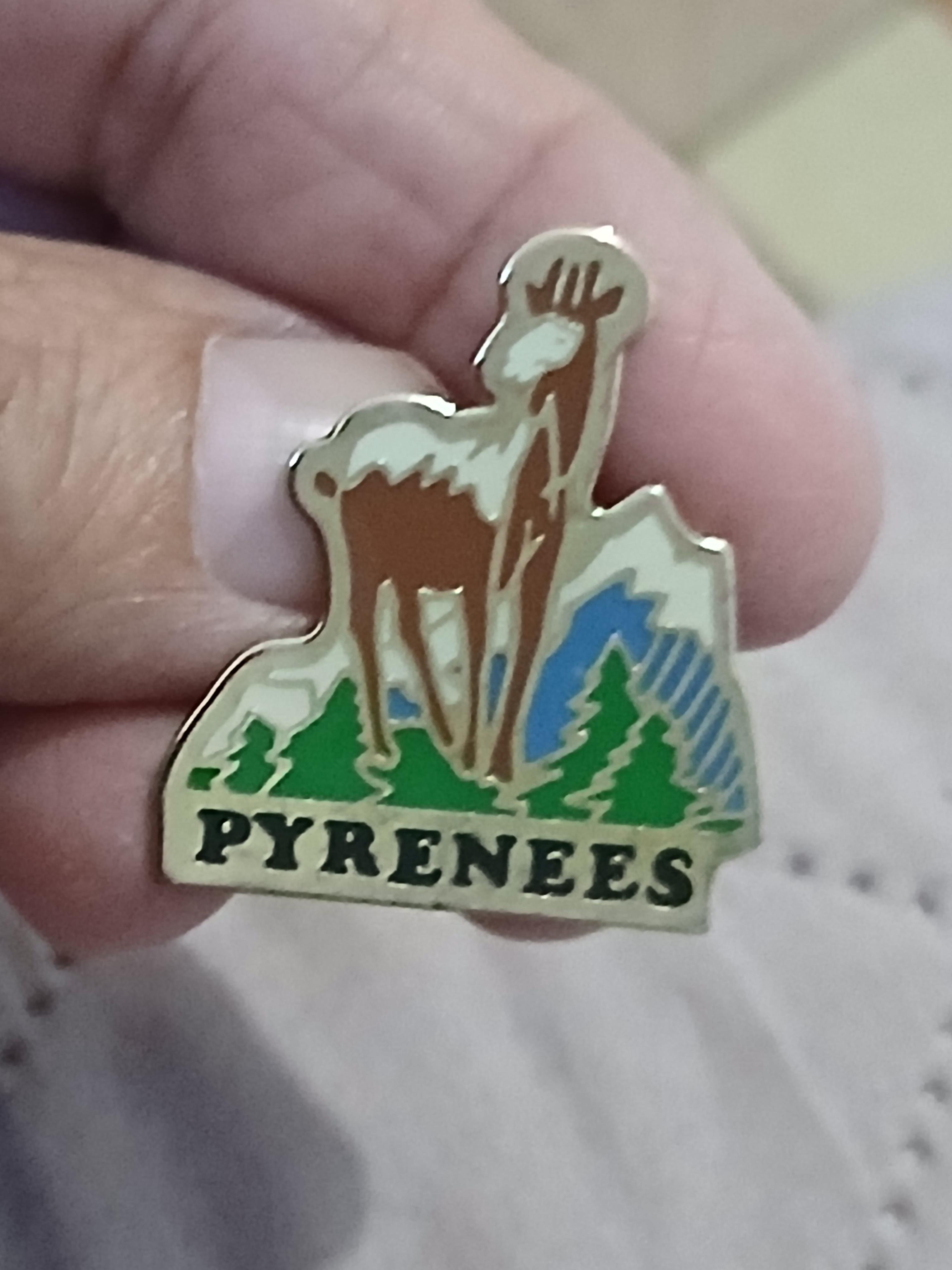 troc de troc un pins image 1