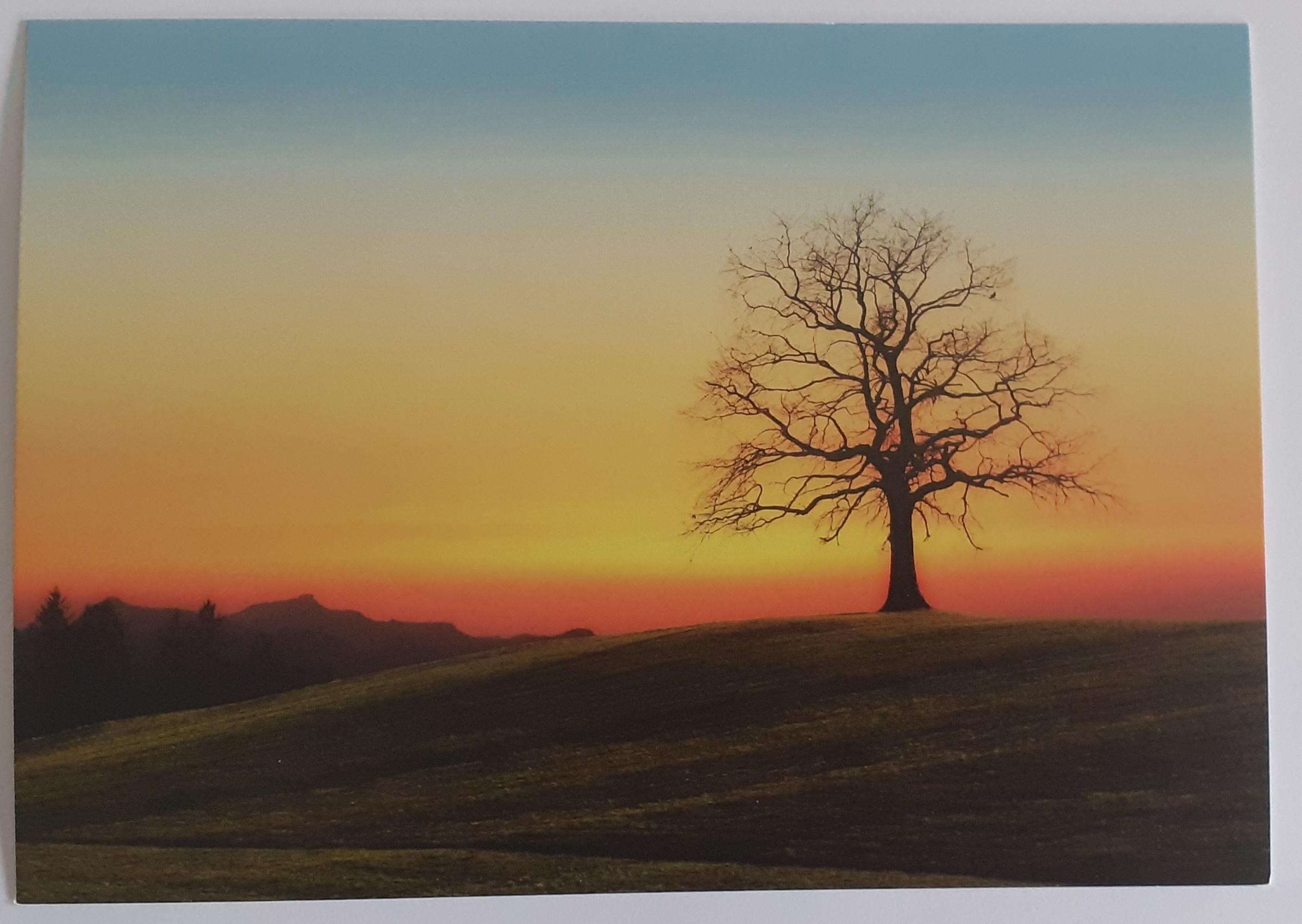 troc de troc cartes postales paysages image 0