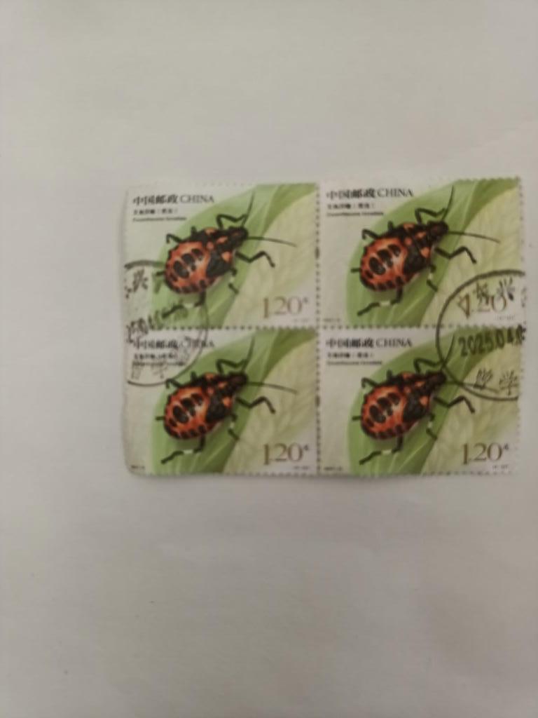 troc de troc timbres du monde - chine image 0