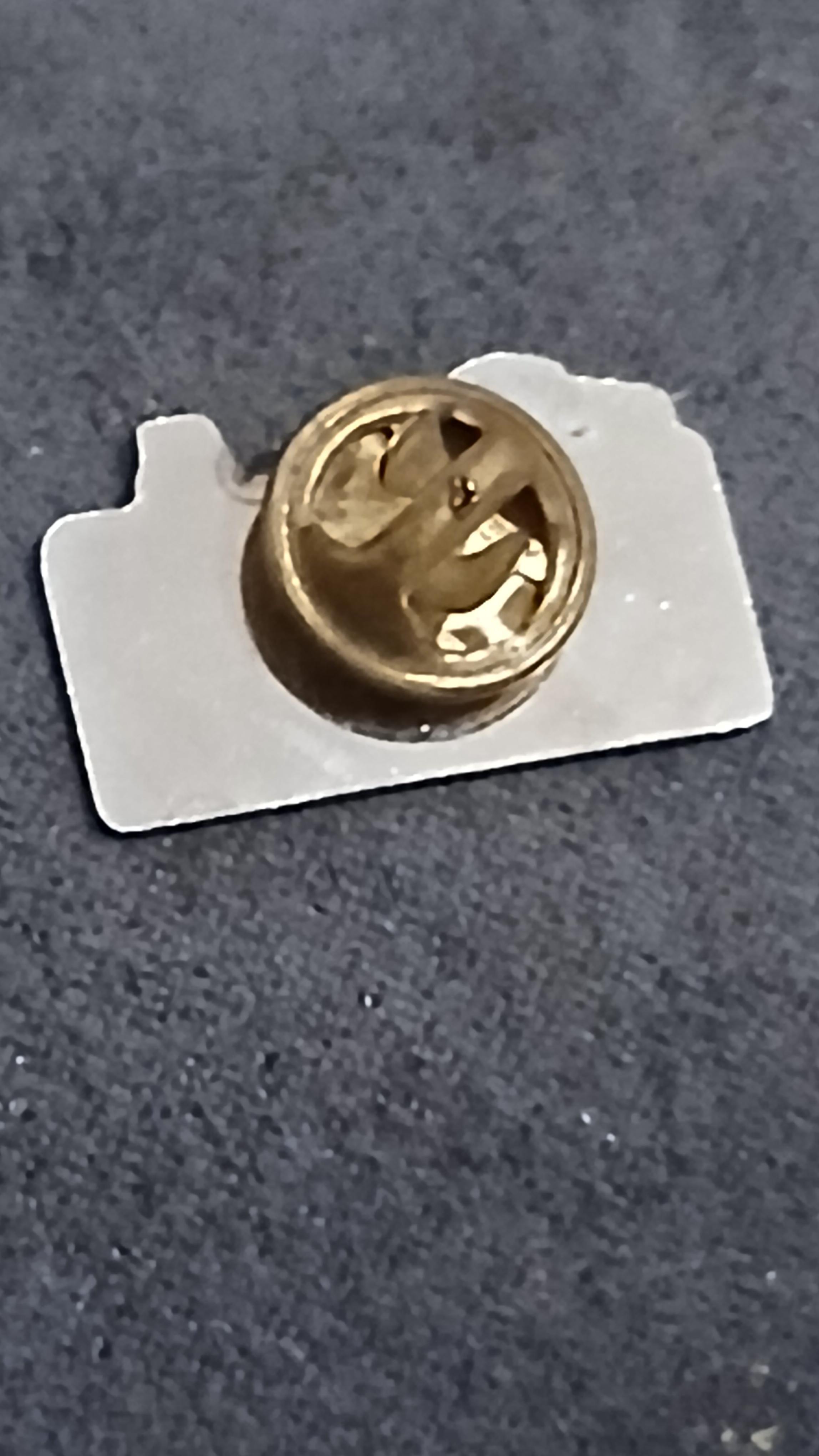 troc de troc un pins image 1