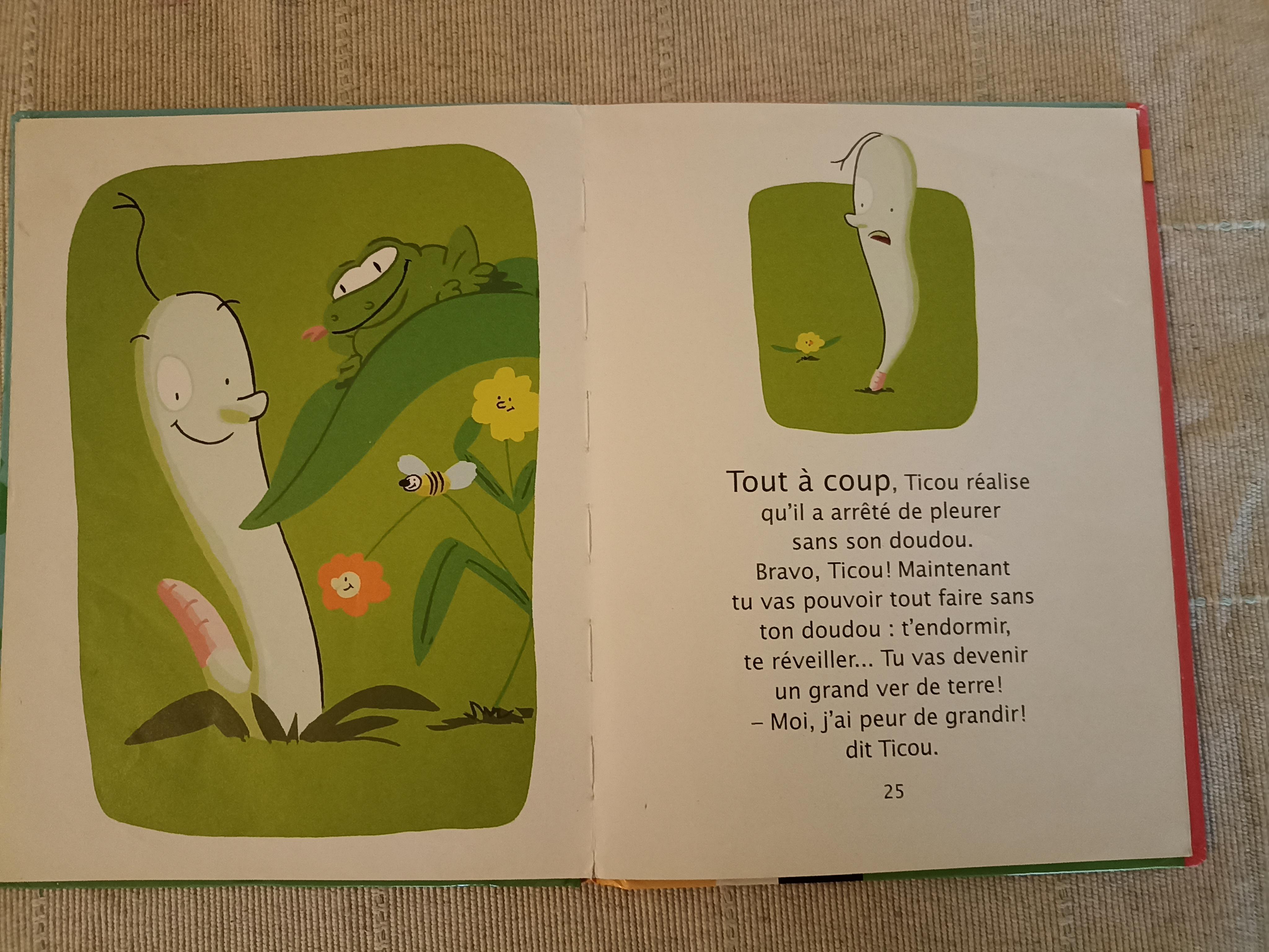 troc de troc réservé livre enfant image 2