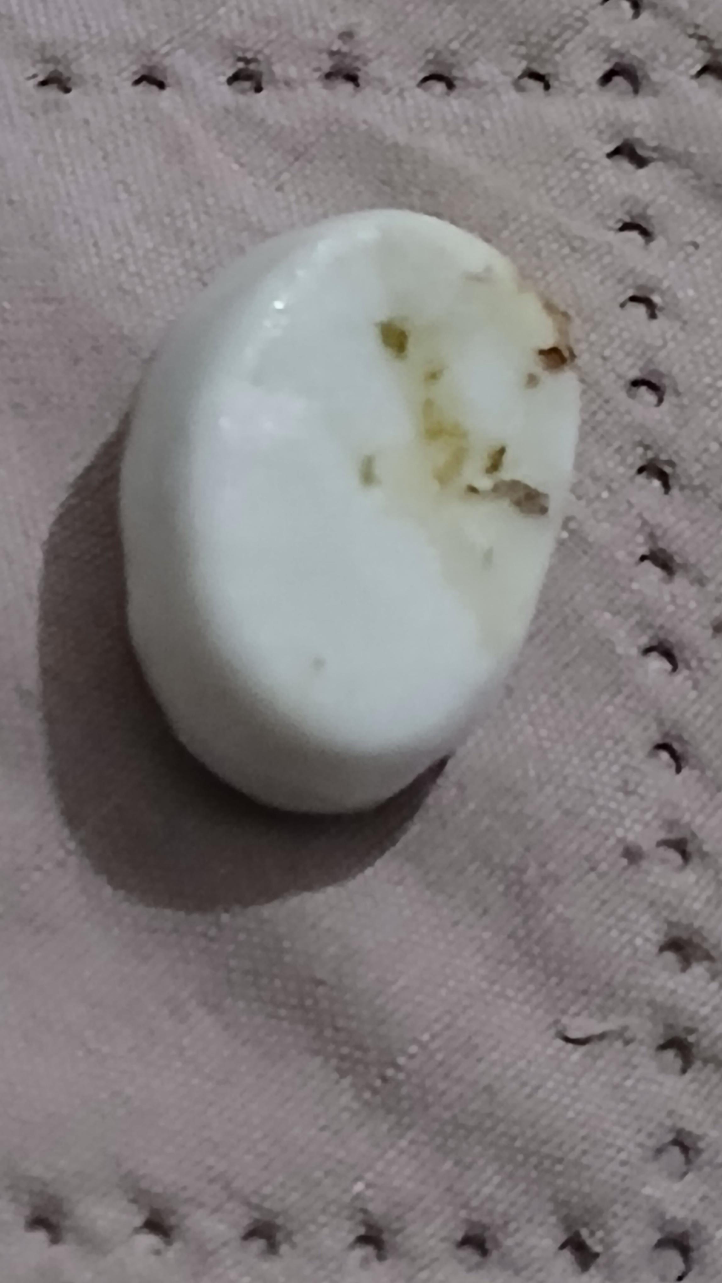 troc de troc une fève image 1