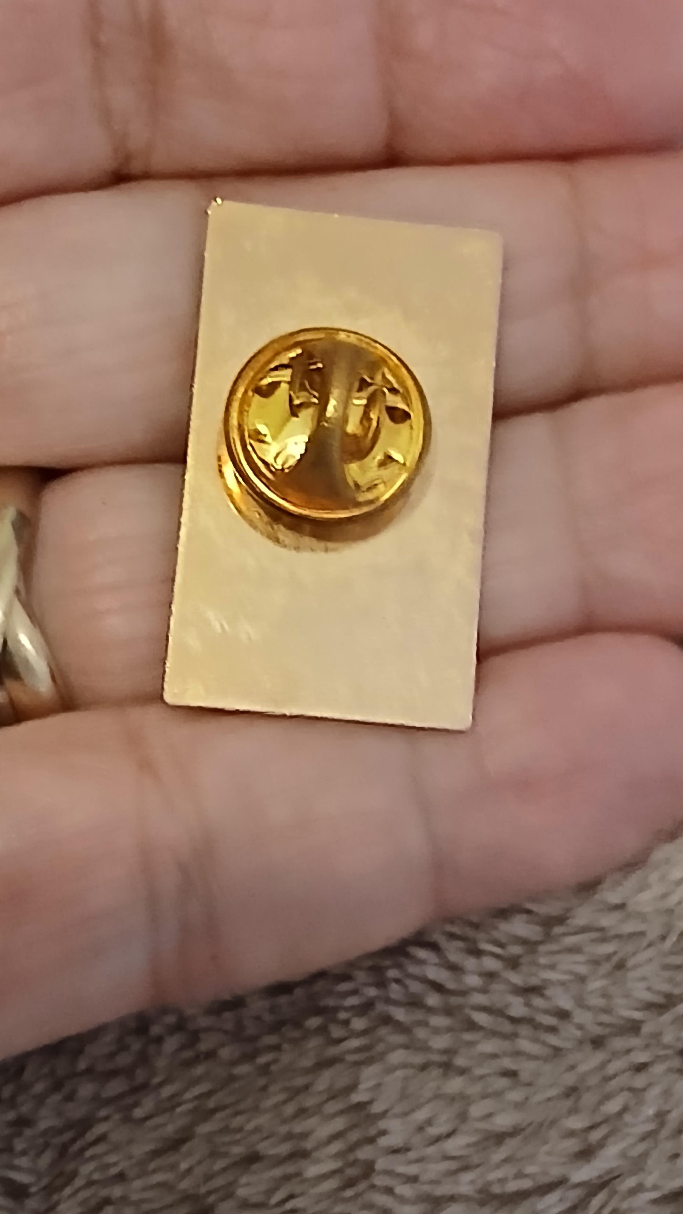 troc de troc reserver sophie un pins image 2