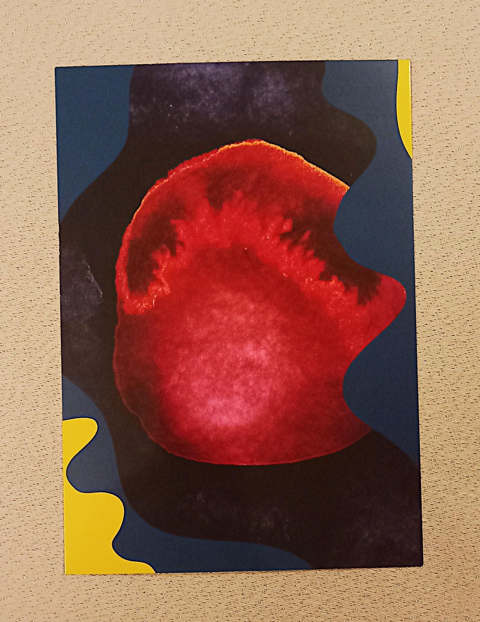 troc de troc carte d'art "nigredo" de constantin schlachter. image 0