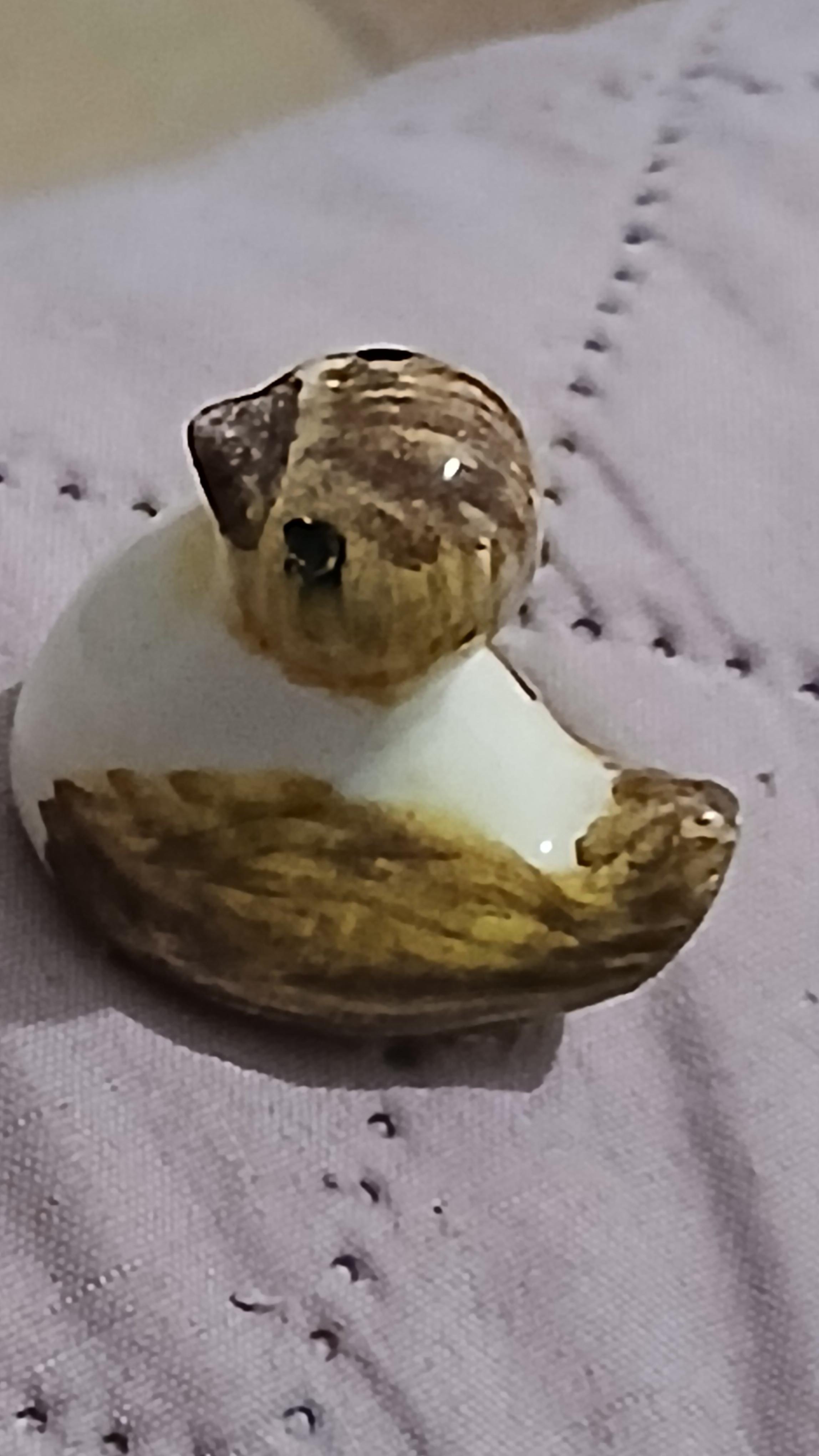 troc de troc une fève image 1