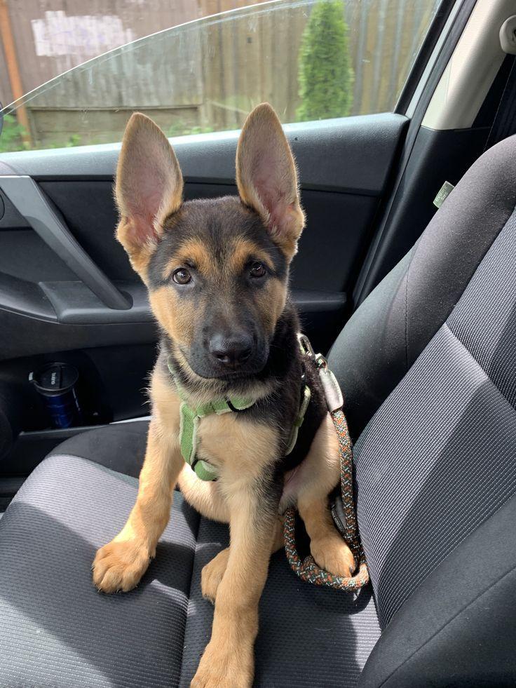 troc de troc trocs divers pour celvi image 0