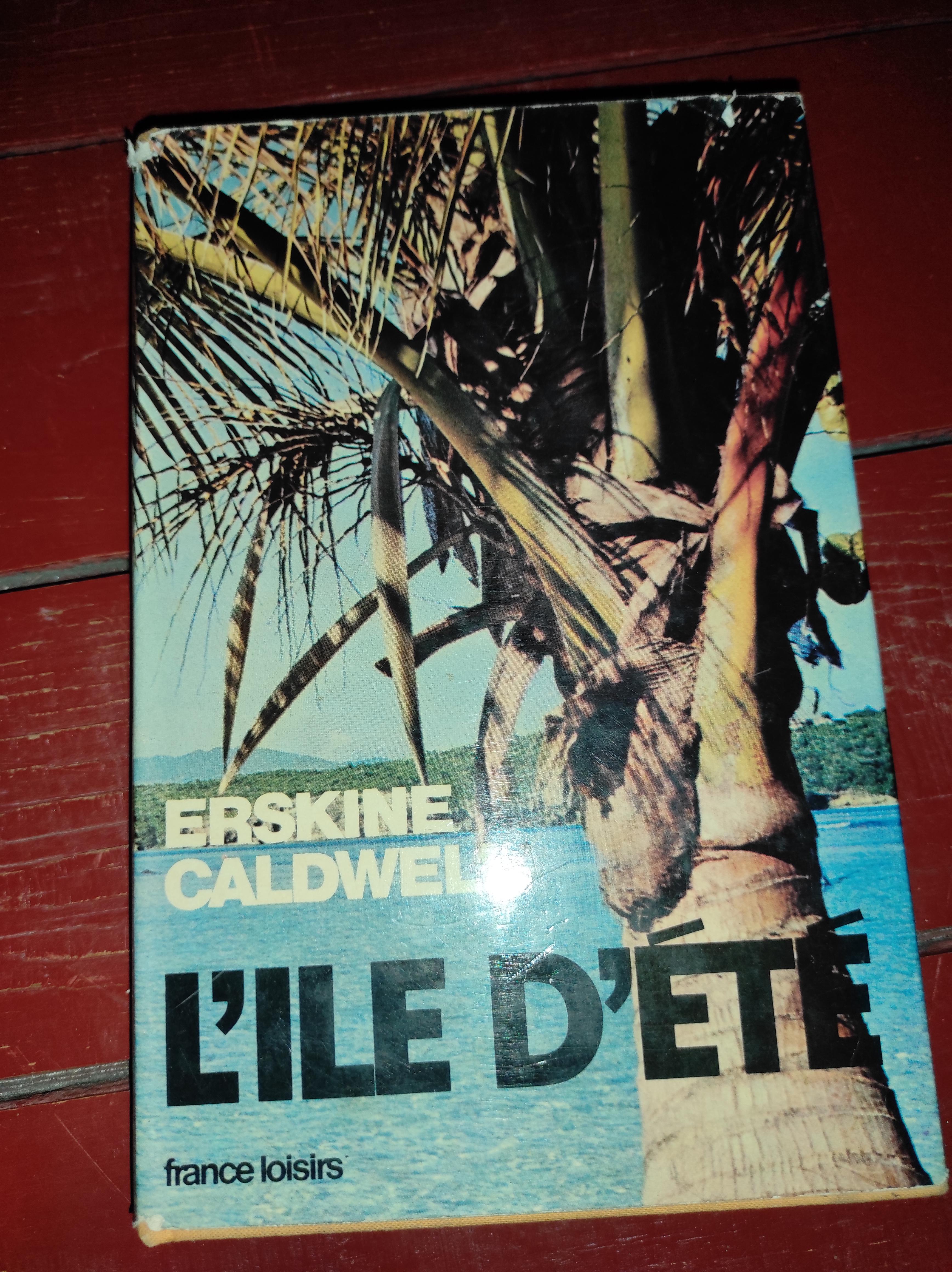 troc de troc livre l'ile dété image 0