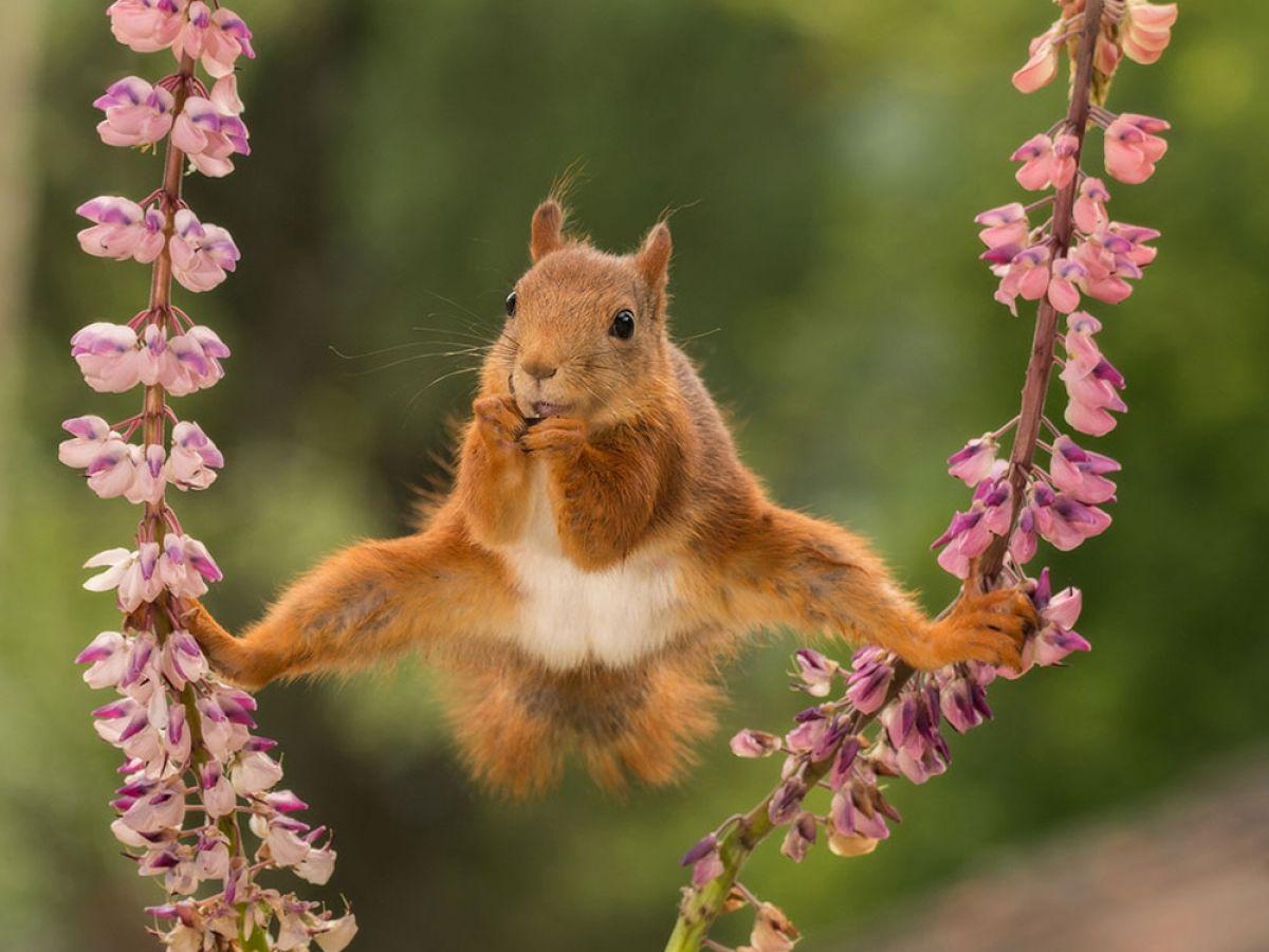 troc de troc rétrocession gain bingo st sylvestre image 0