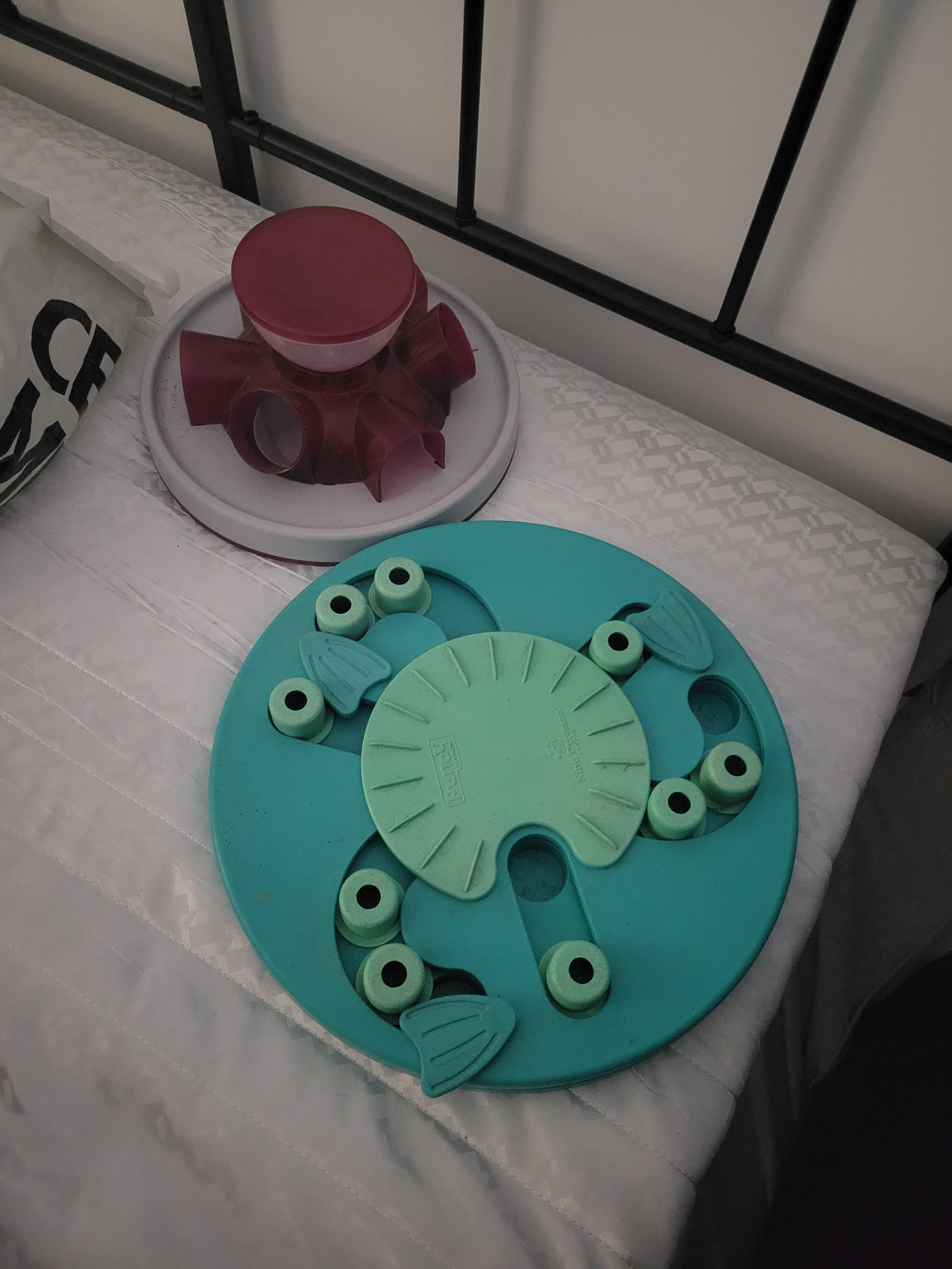 troc de troc accessoires chien image 1