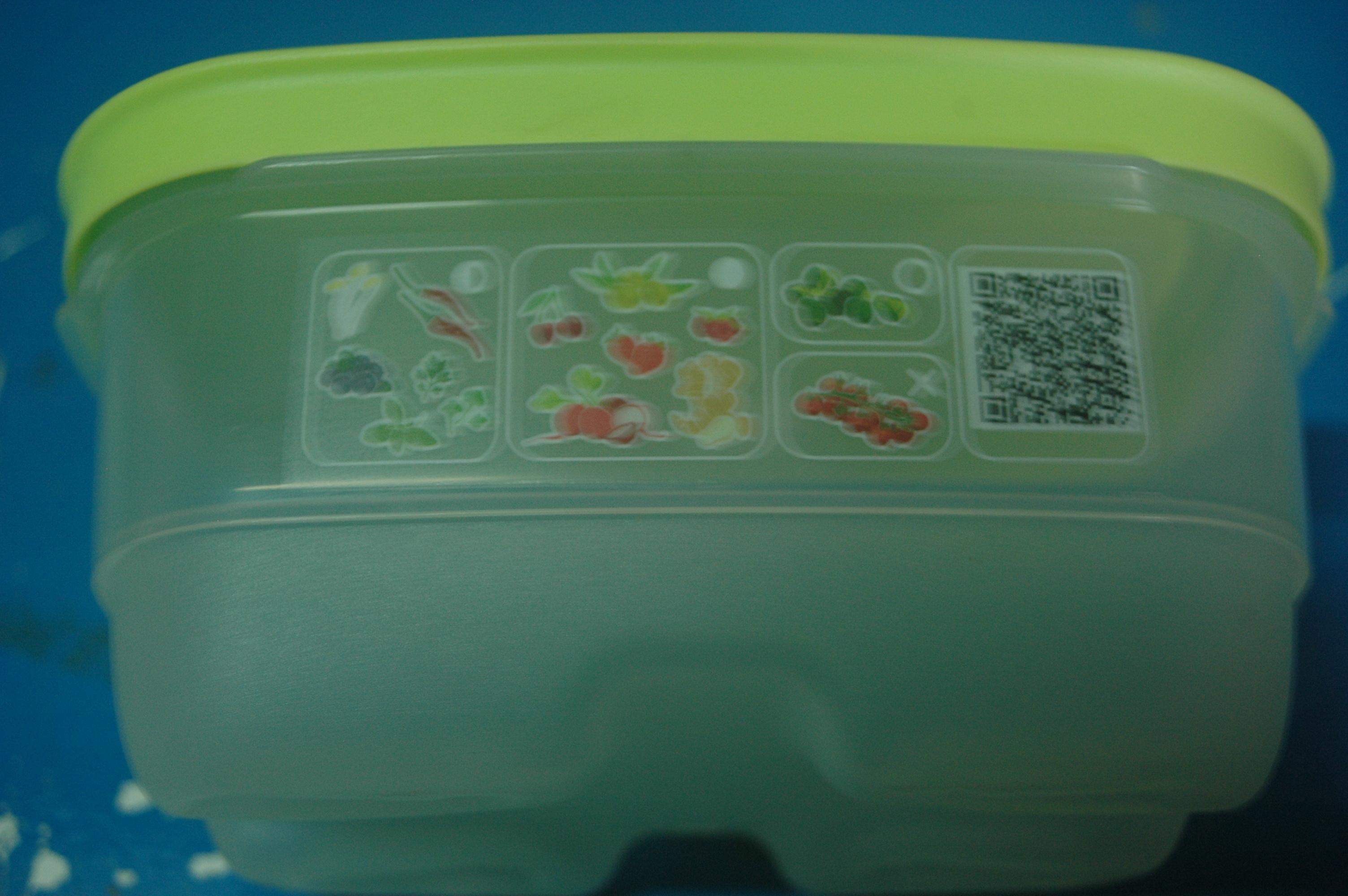 troc de troc tupperware rectangulaire image 0