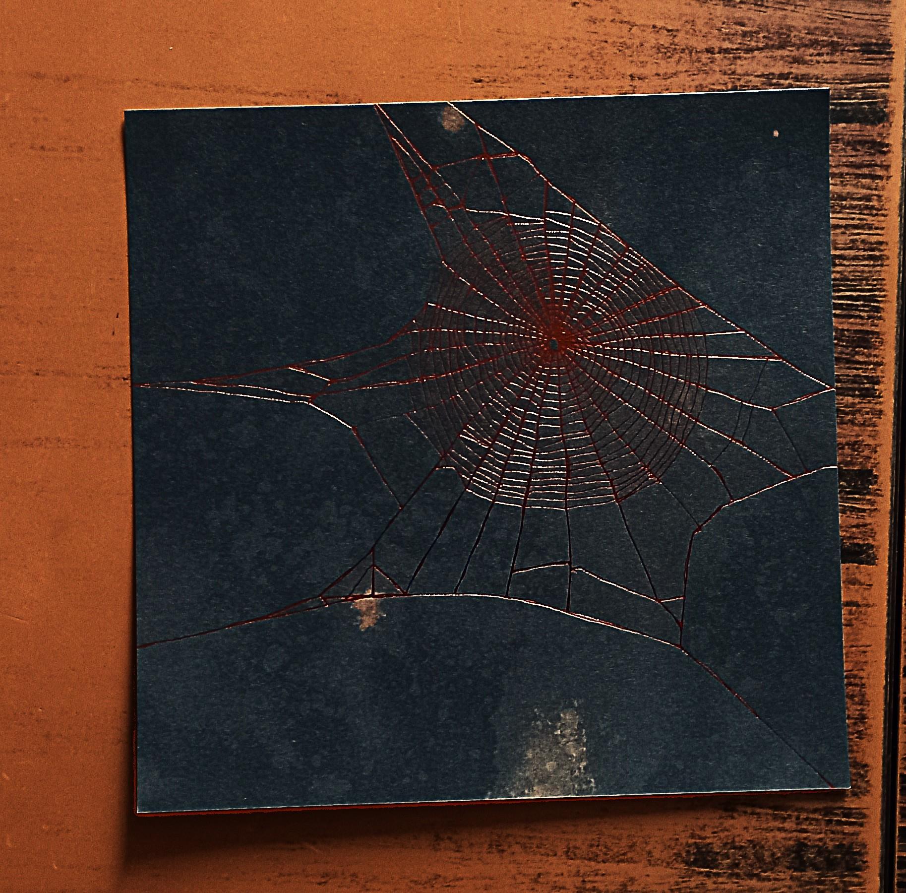 troc de troc carte "toile d'araignée". image 0