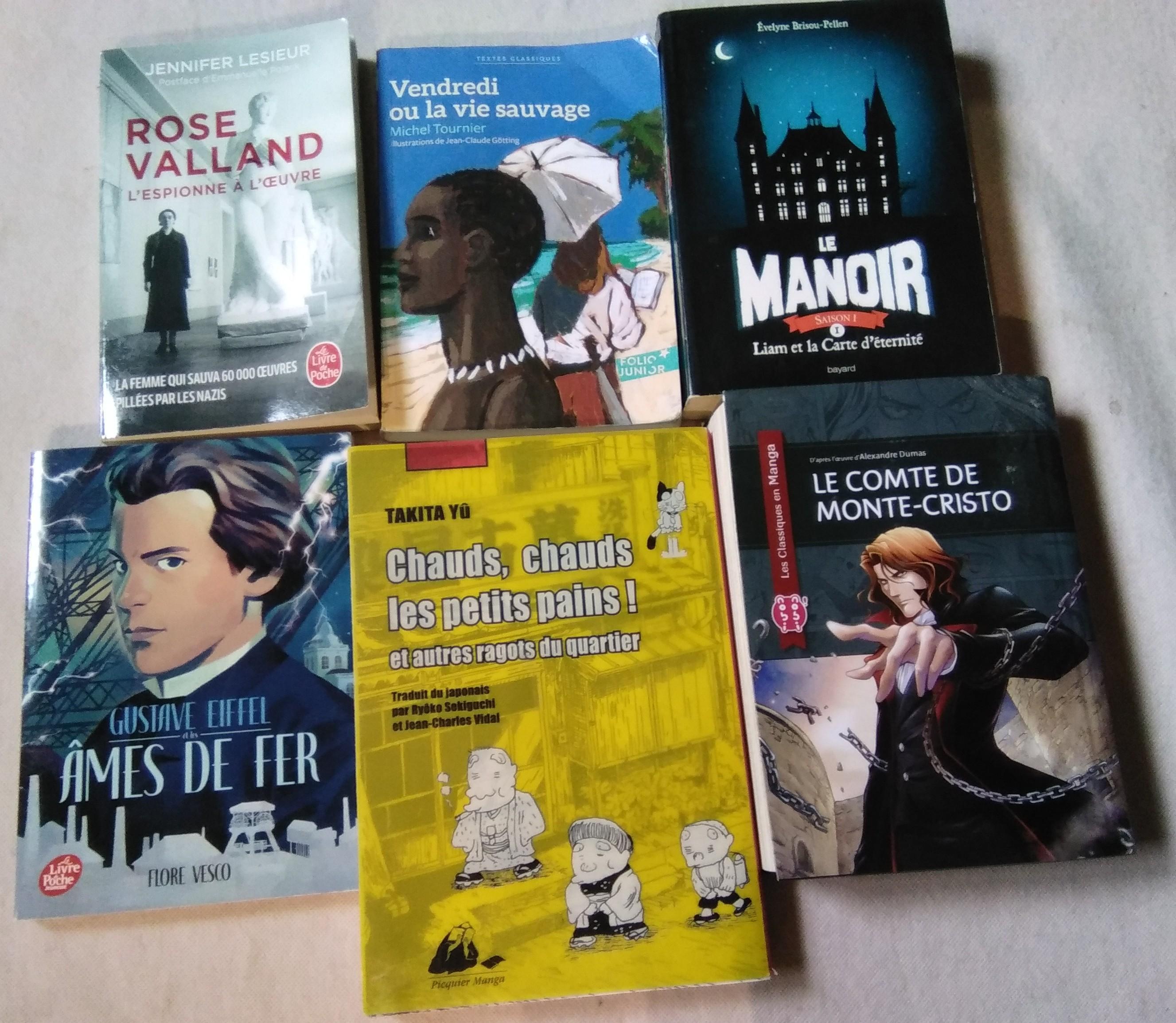 troc de troc livre/romans, jeunesse, très bon état image 0