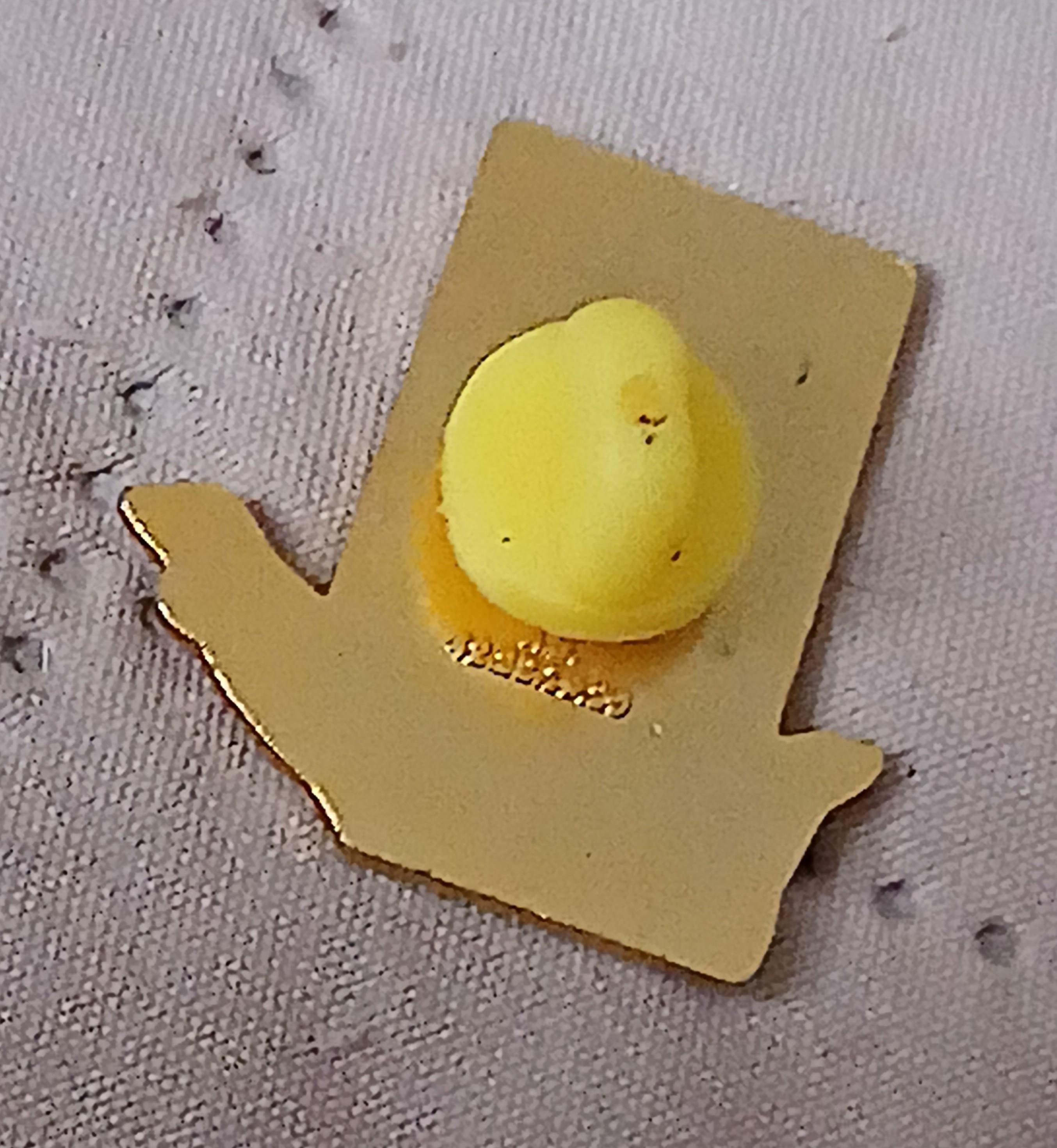 troc de troc reserver. un pins image 2