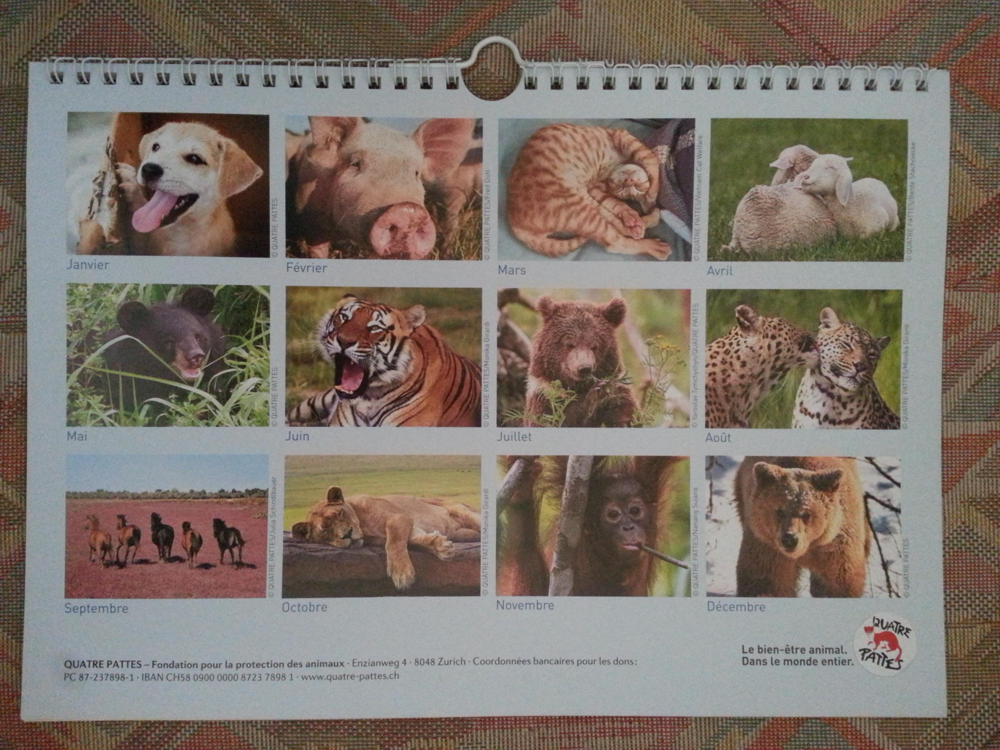 troc de troc calendrier à spirale 2023 animaux 4 pattes image 1