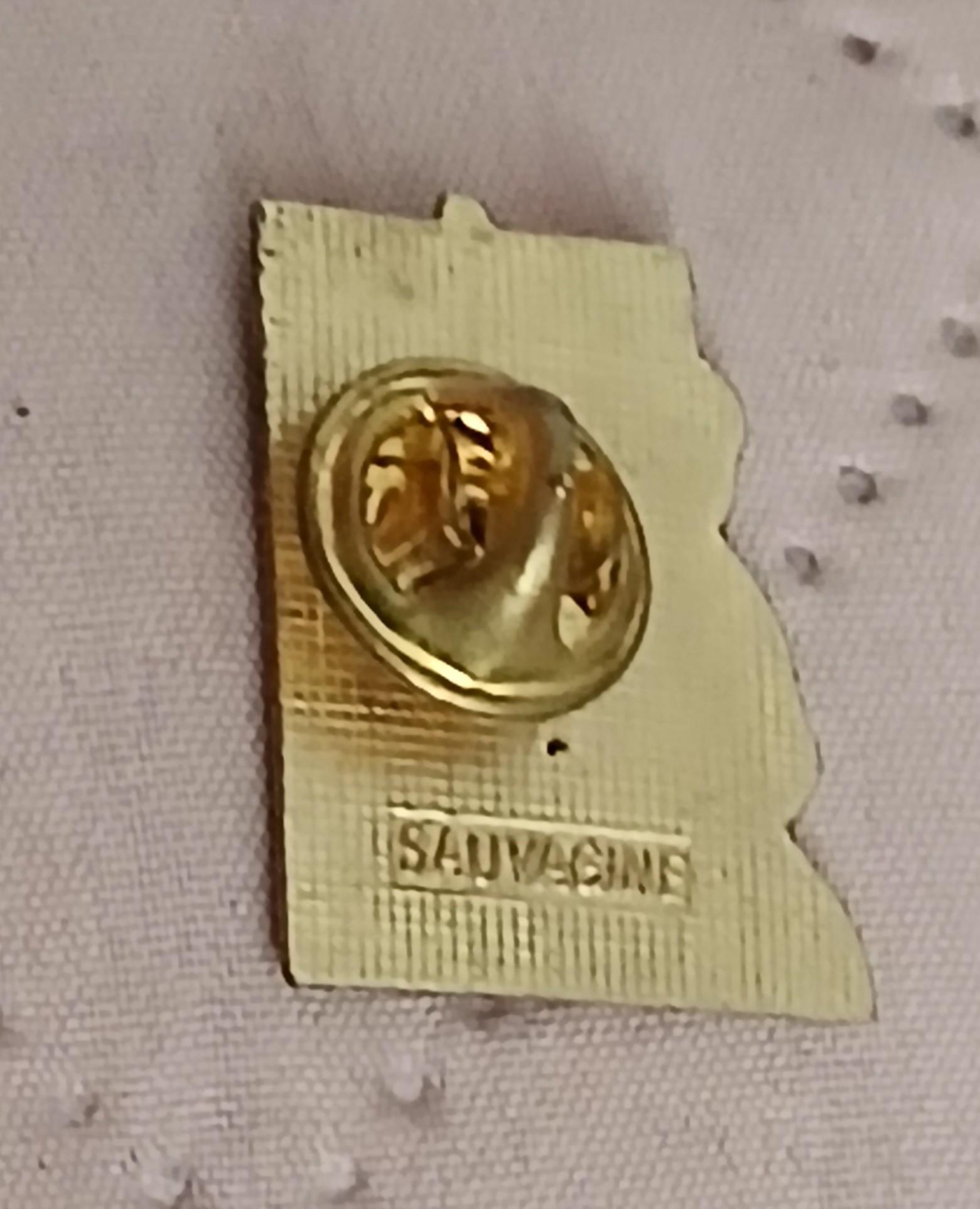 troc de troc un pins image 2
