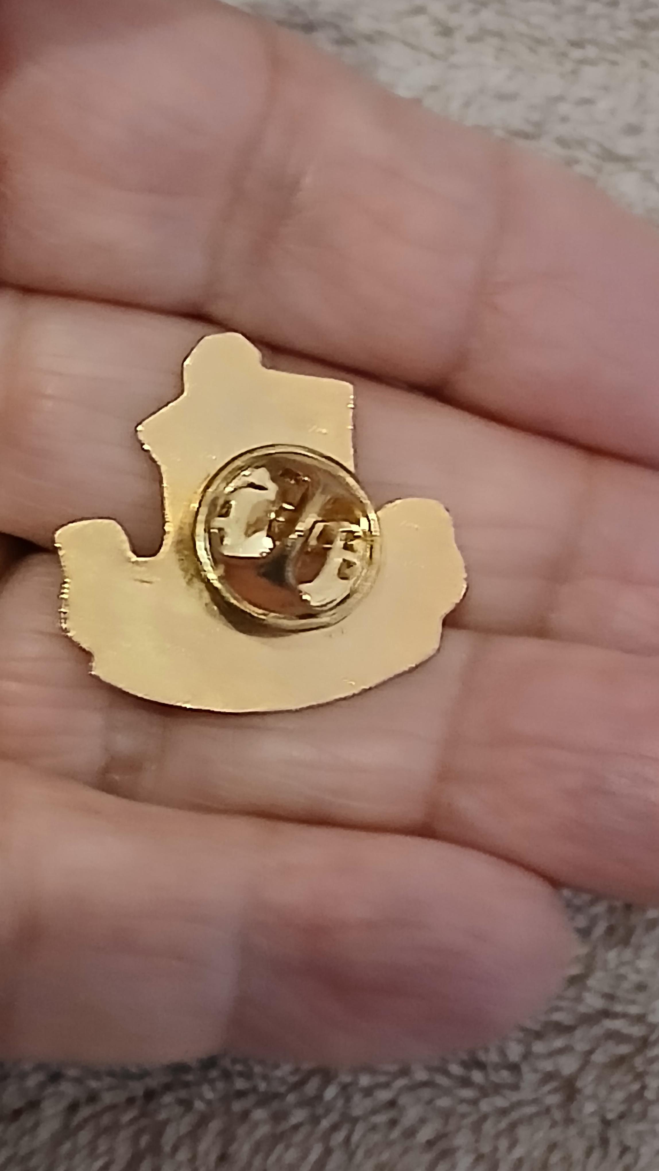 troc de troc un pins image 1