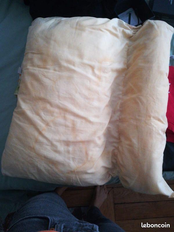 troc de troc don gratuit oreiller coussin décoloré mais propre et lavé. est pa image 0