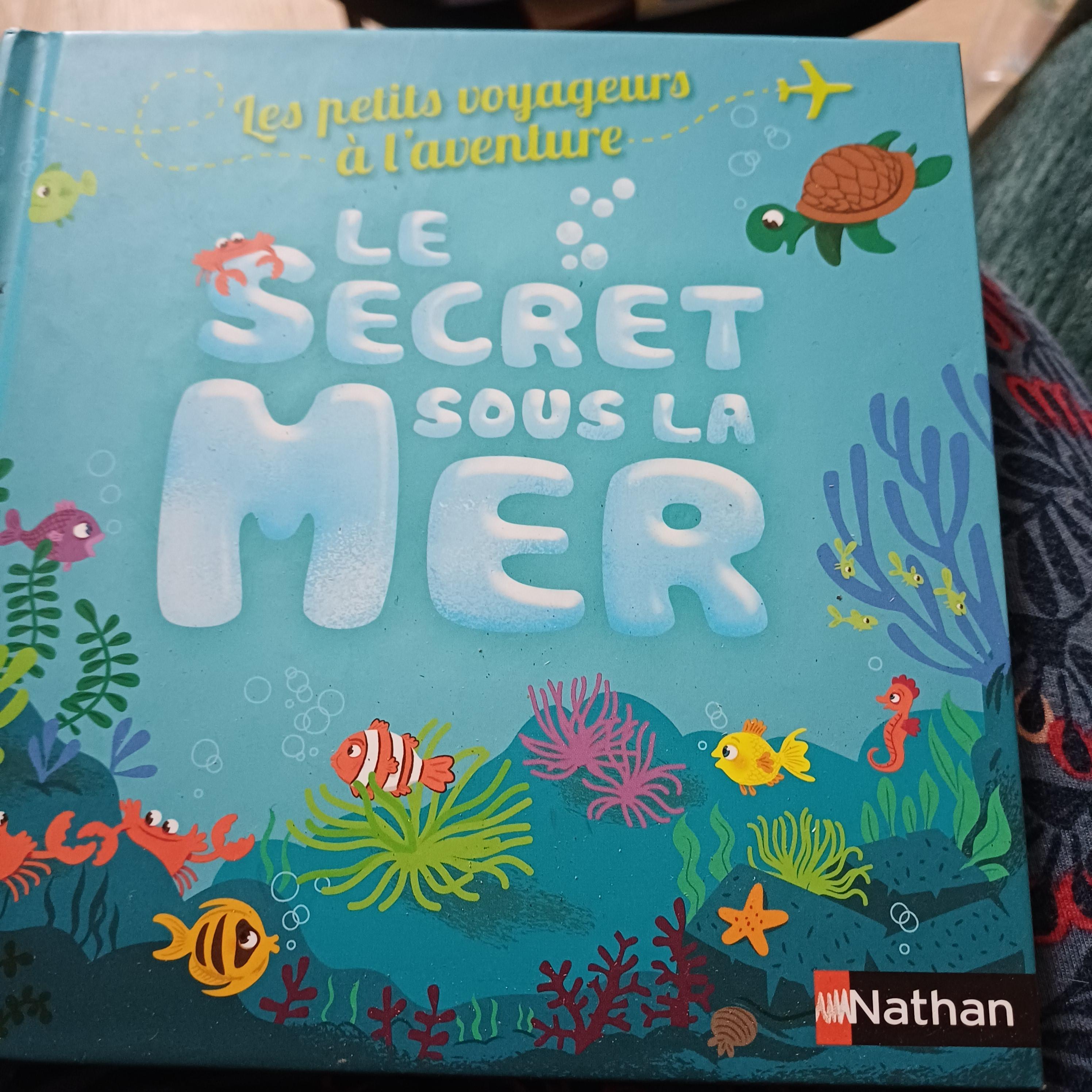 troc de troc le secret sous la mer image 0