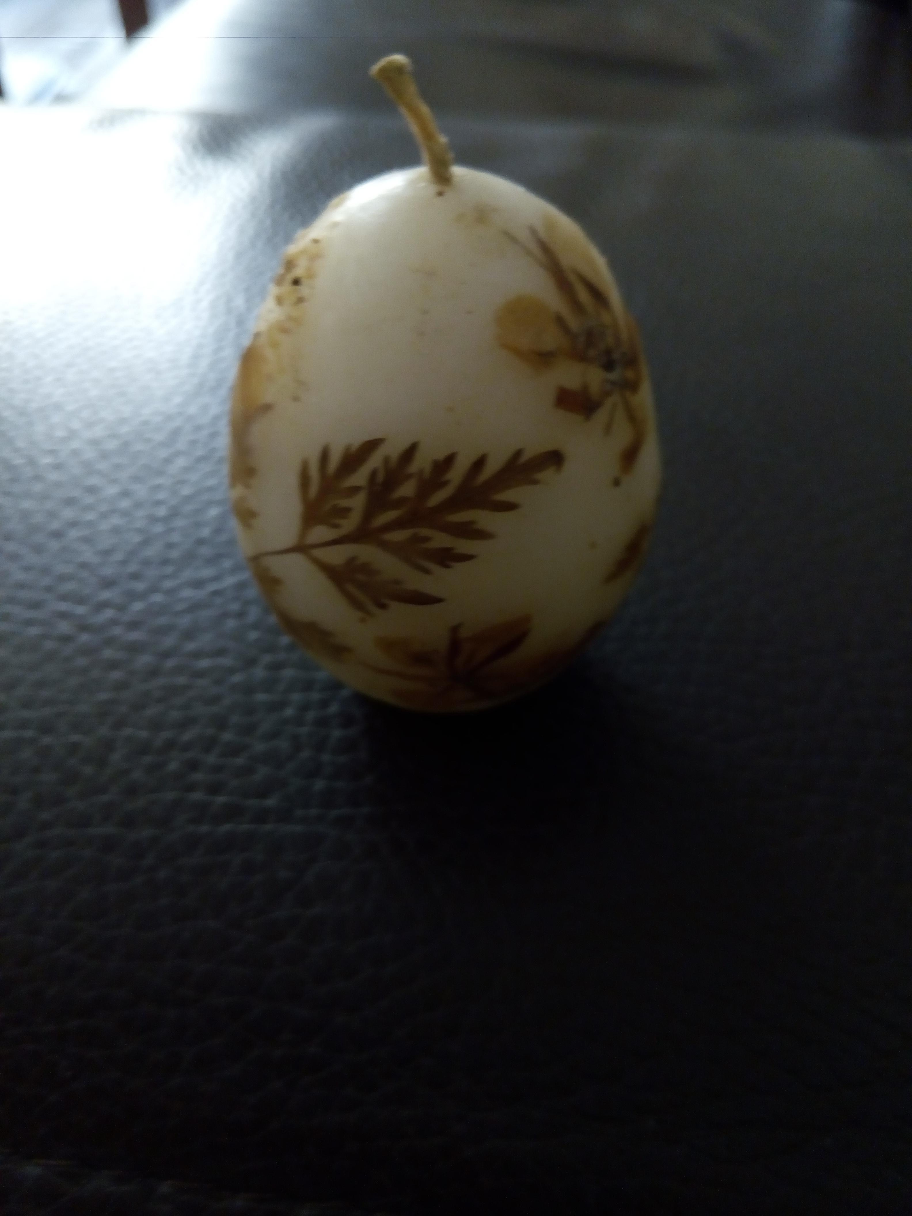 troc de troc réservé ! bougie en forme d'oeuf avec feuilles séchées image 0