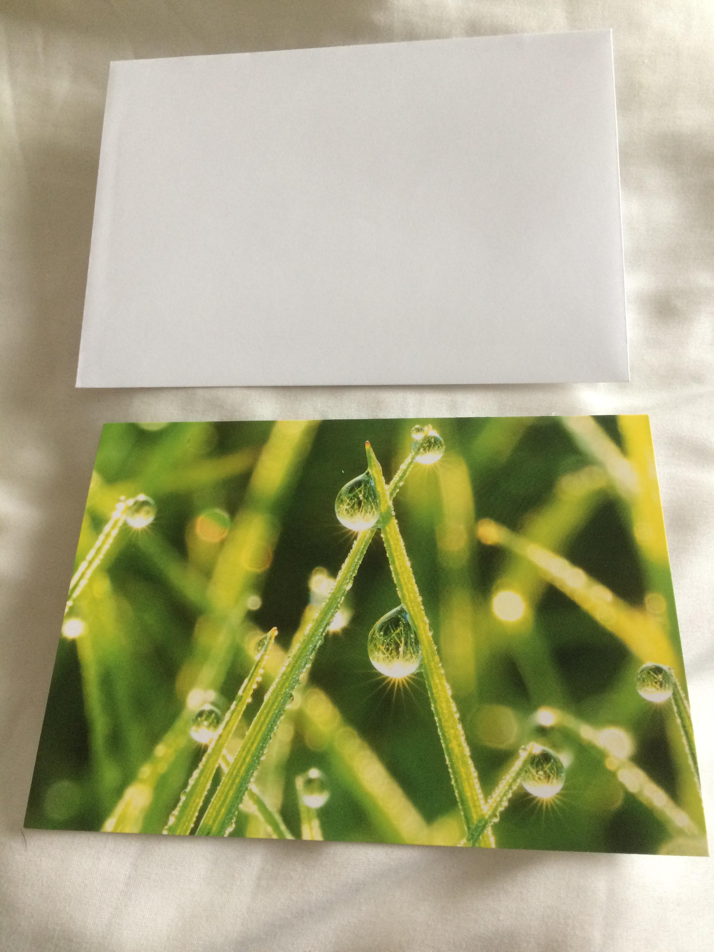 troc de troc grande carte herbe sous la rosée & son enveloppe blanche image 1
