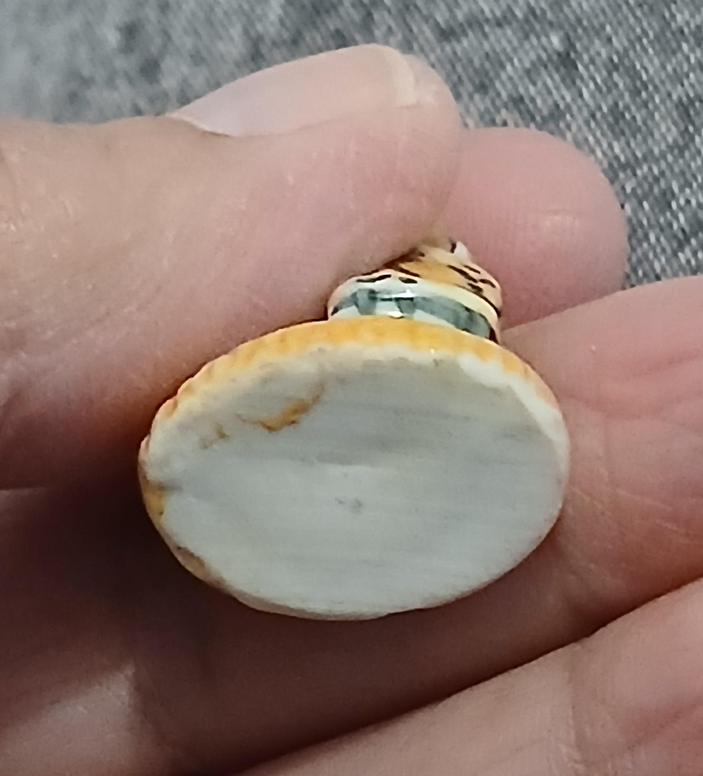 troc de troc reserver sophie une fève image 2