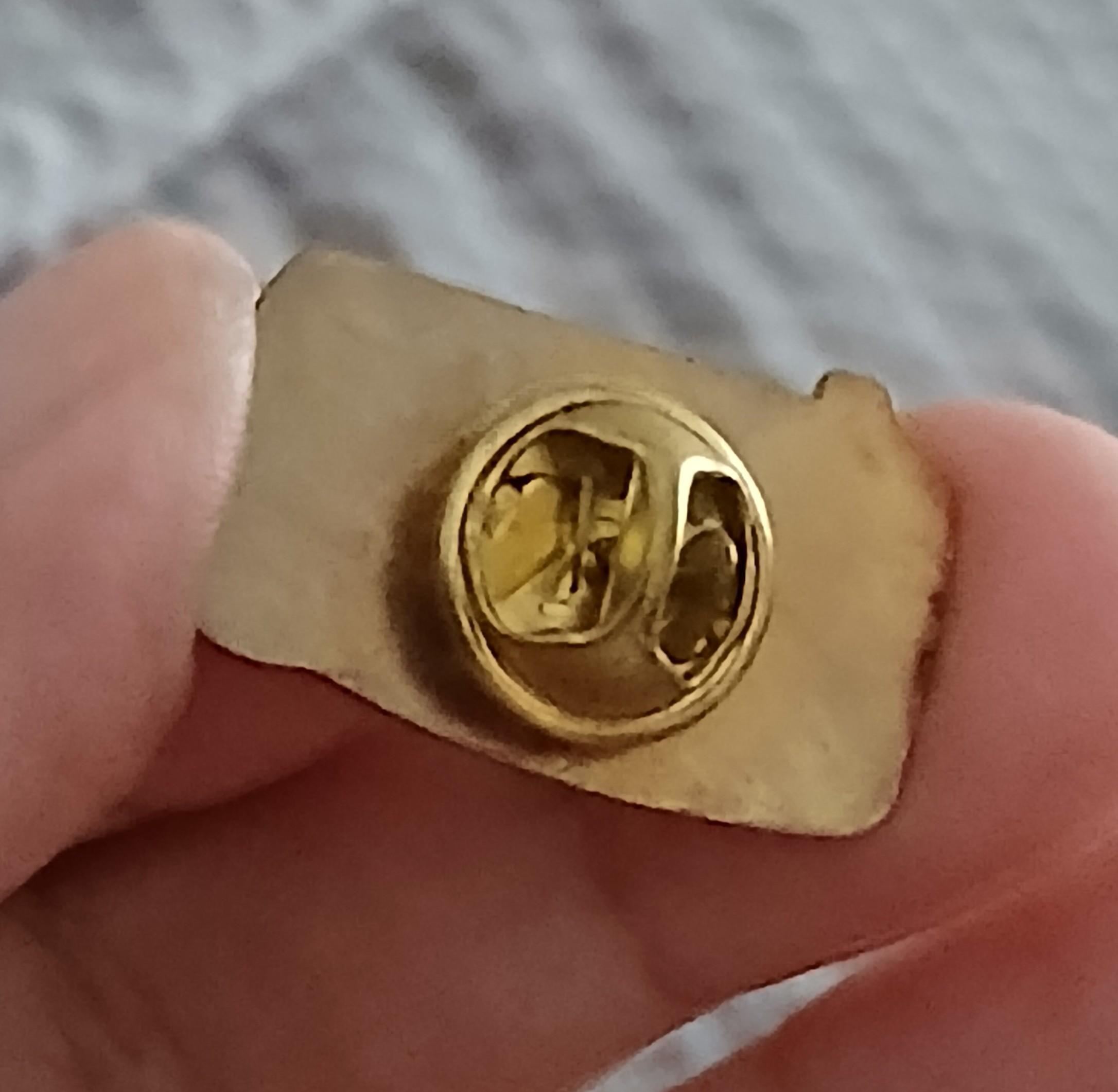 troc de troc n * 20 reserver gigi un pins image 2