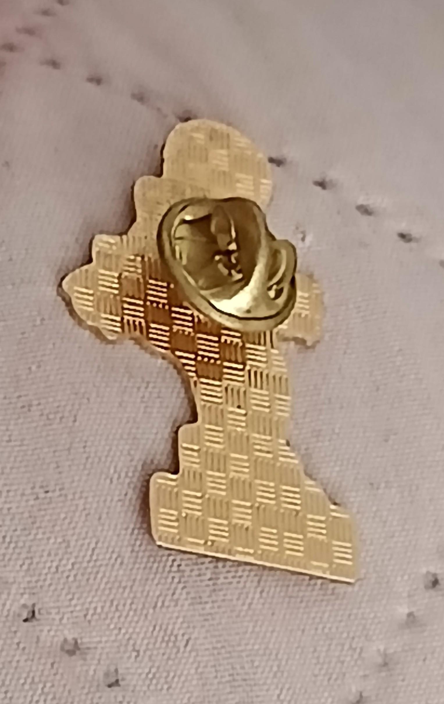 troc de troc un pins image 2